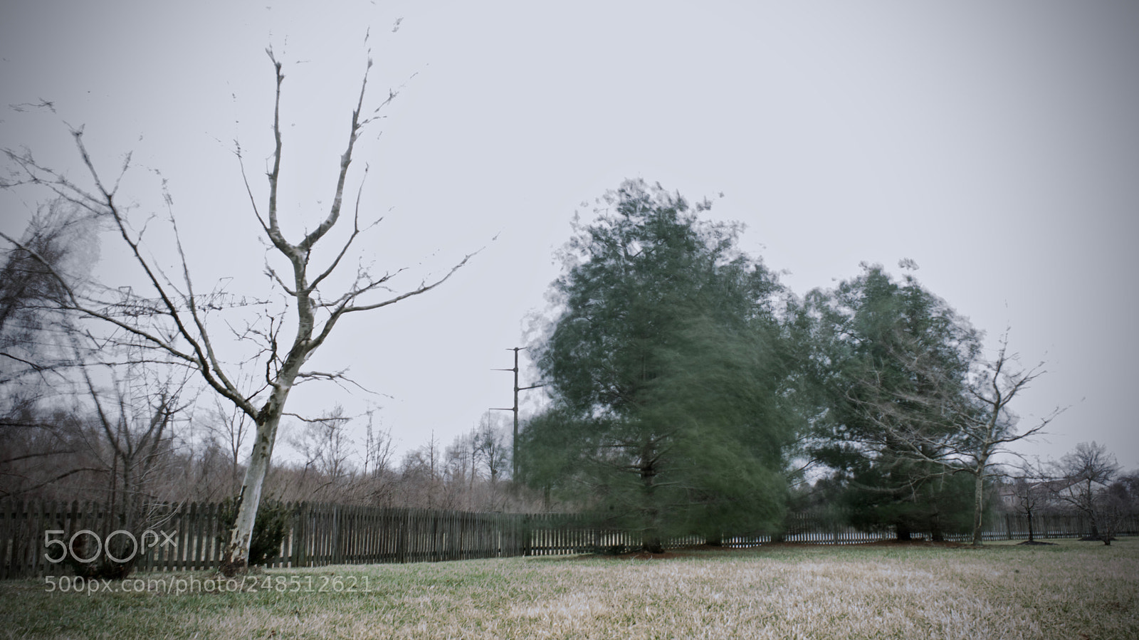 Sony a7 II sample photo. 3-7-18 photography