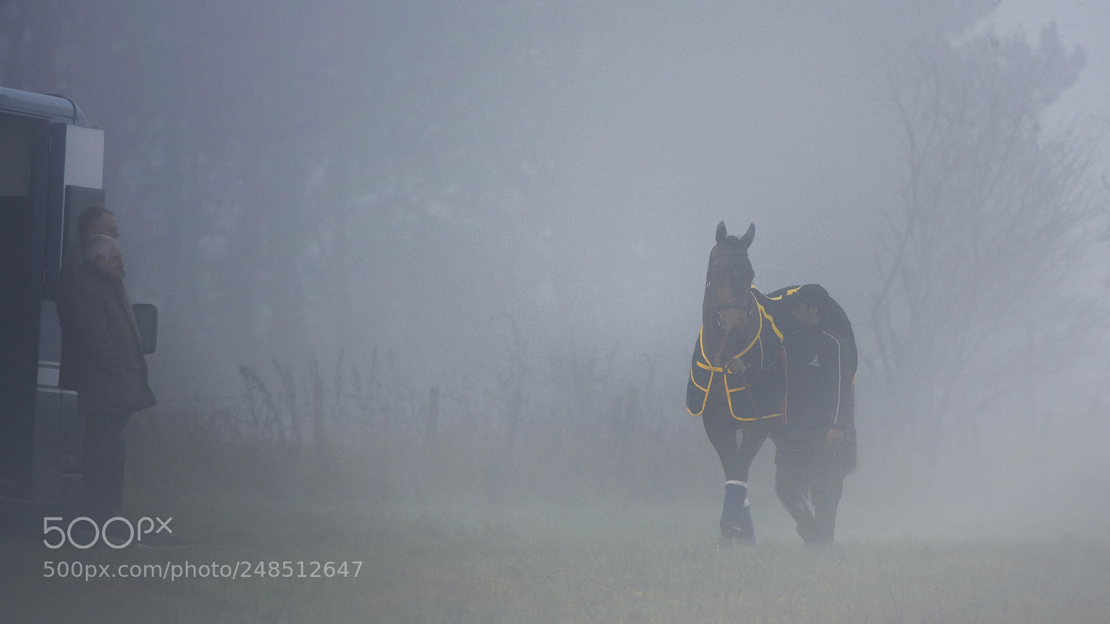 Nikon D7200 sample photo. The morning mist photography