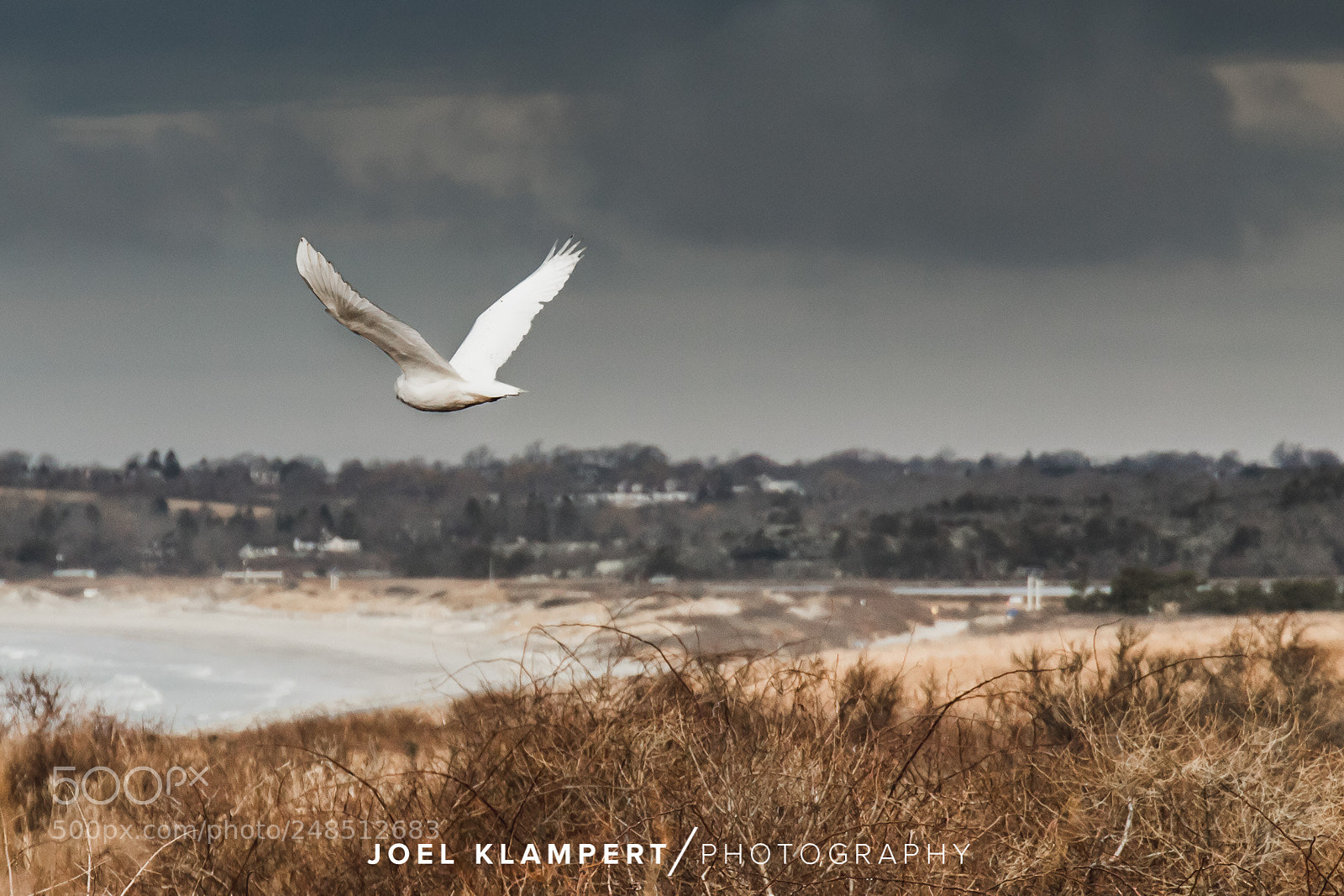 Canon EOS 6D Mark II sample photo. Snowy in flight photography