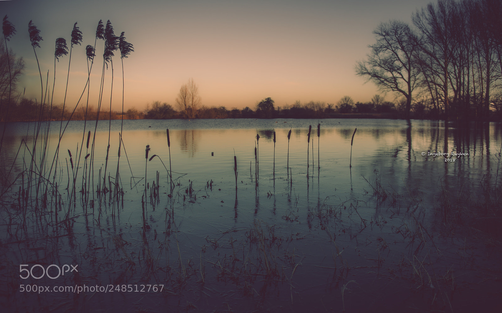 Nikon D800 sample photo. Empelse dijk 3317 photography