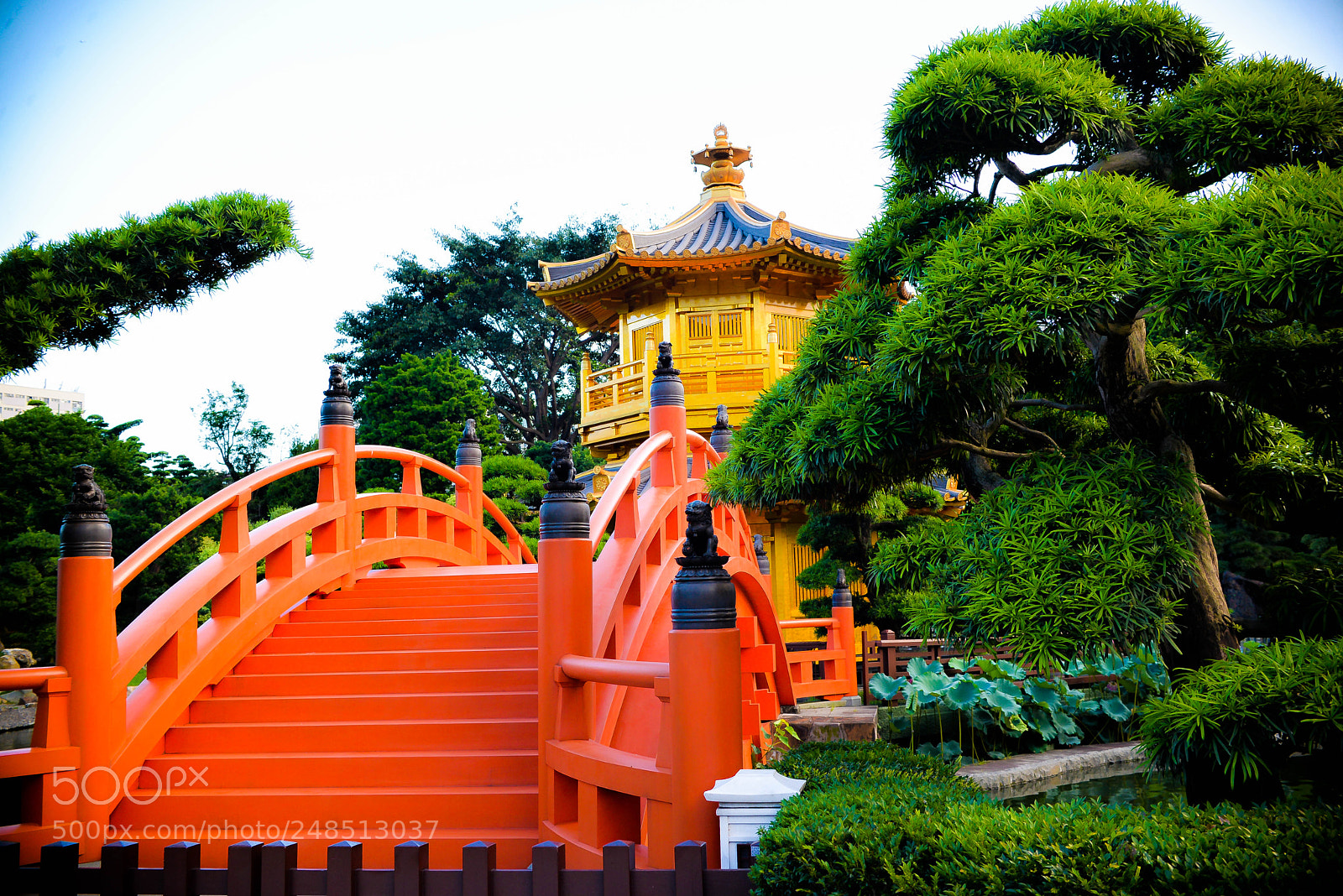 Nikon D610 sample photo. Beauty of hong kong#2 photography