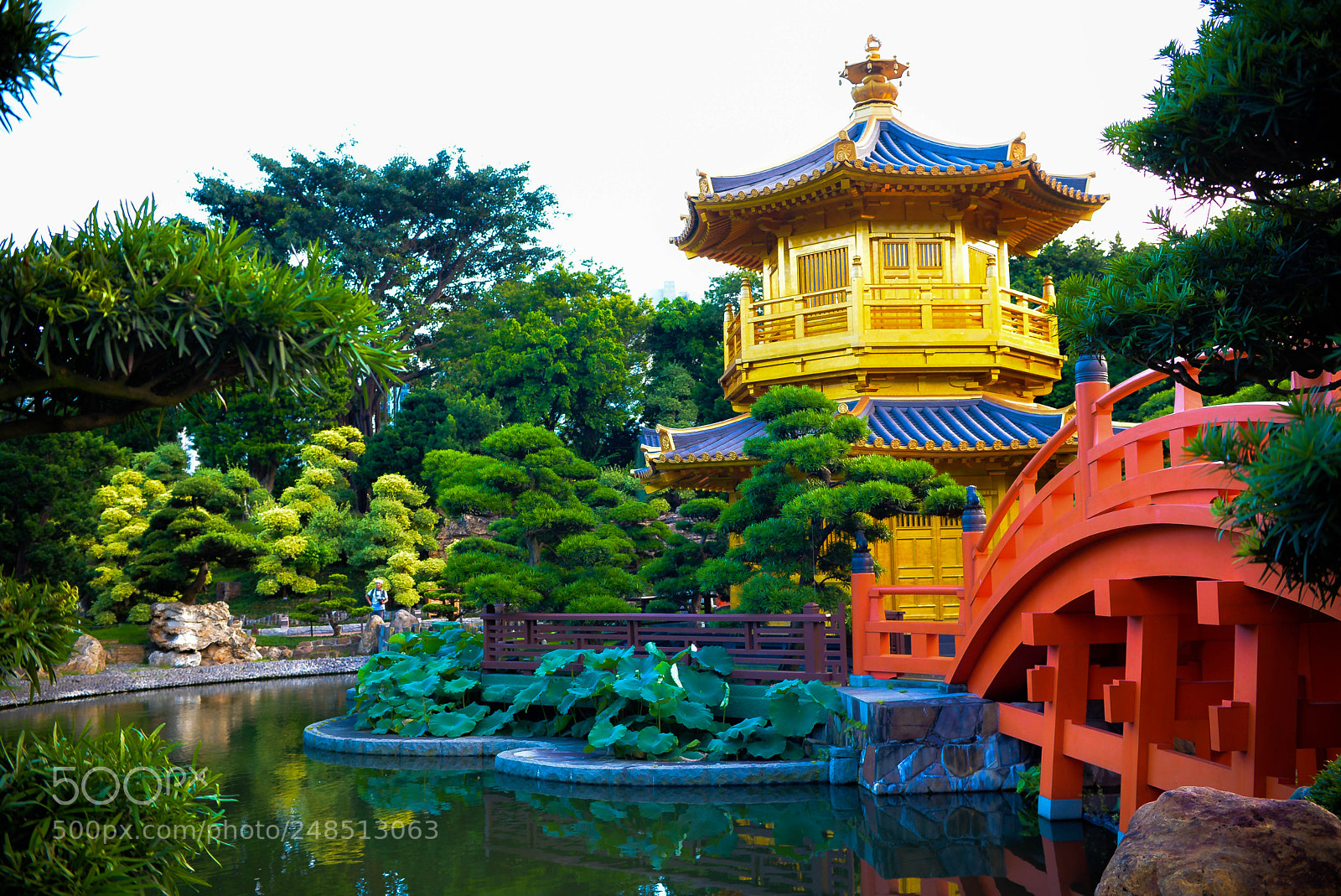 Nikon D610 sample photo. Beauty of hong kong#3 photography