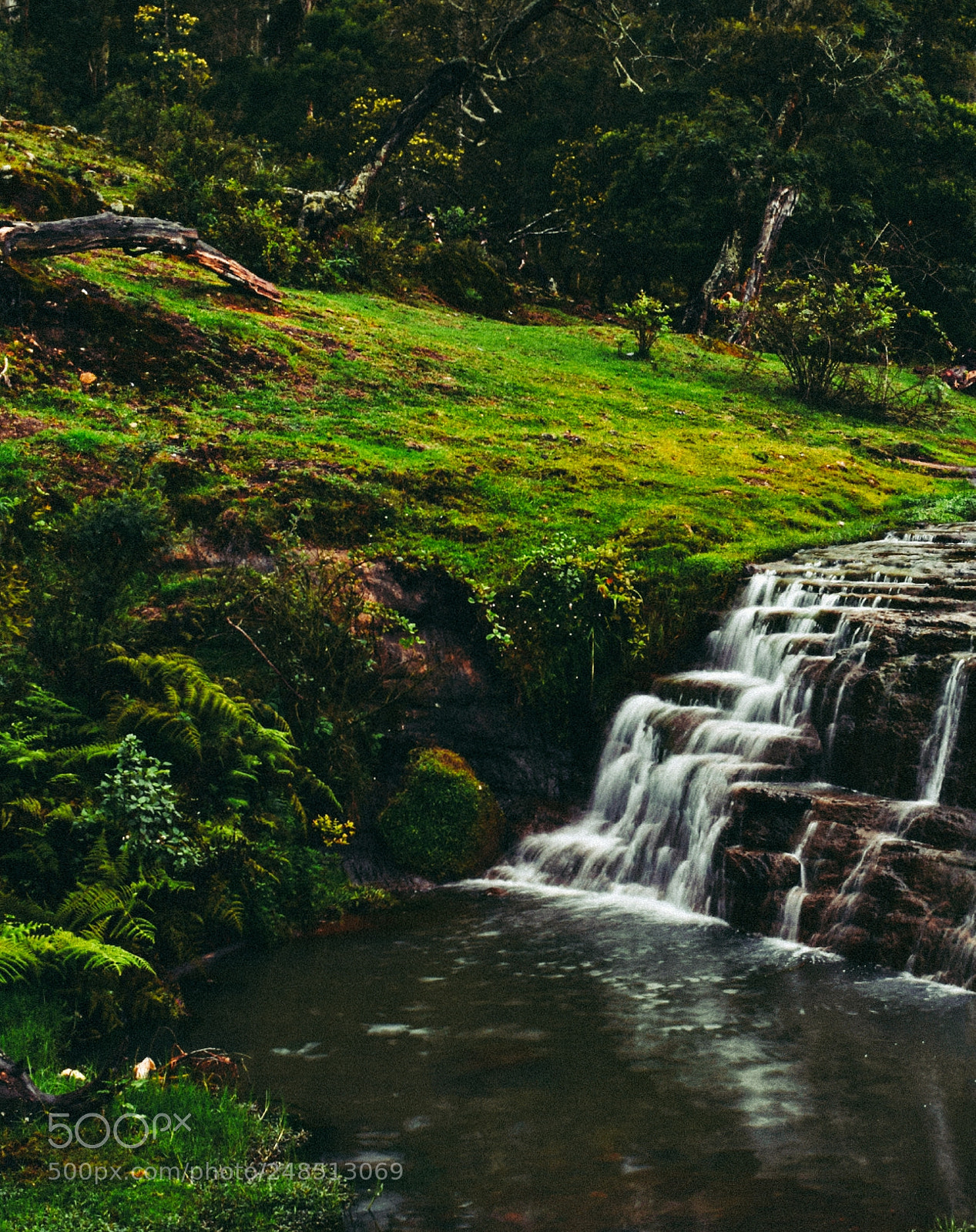 Nikon D5300 sample photo. Liril falls, kodaikanal, india photography