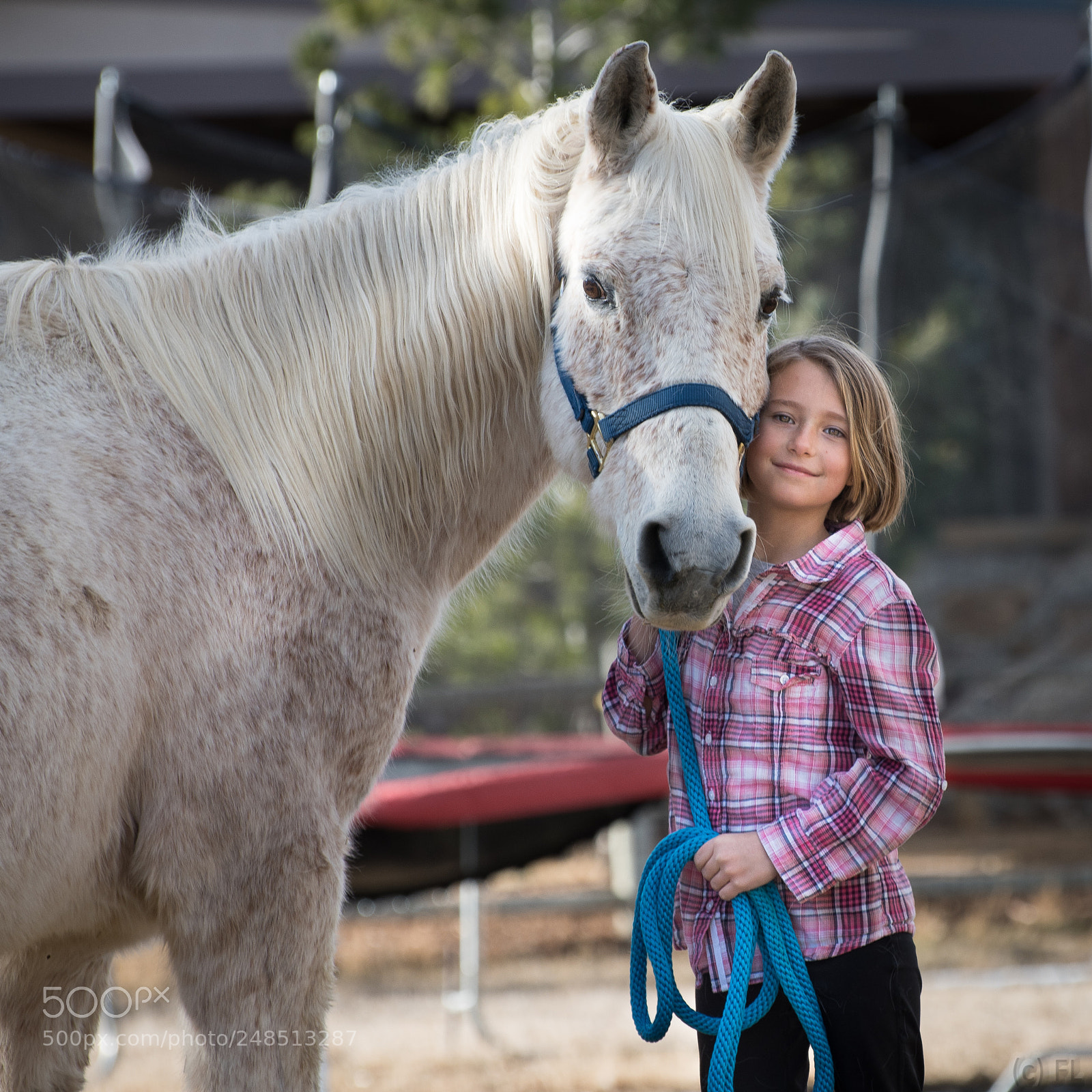 Nikon D7500 sample photo. Old friends photography