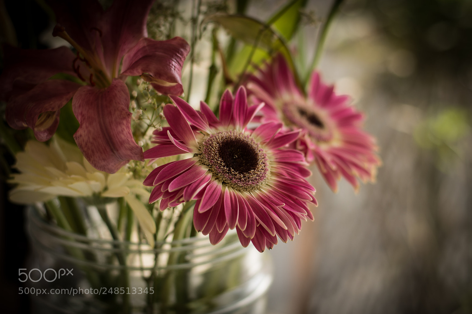 Nikon D7200 sample photo. Gerbera photography