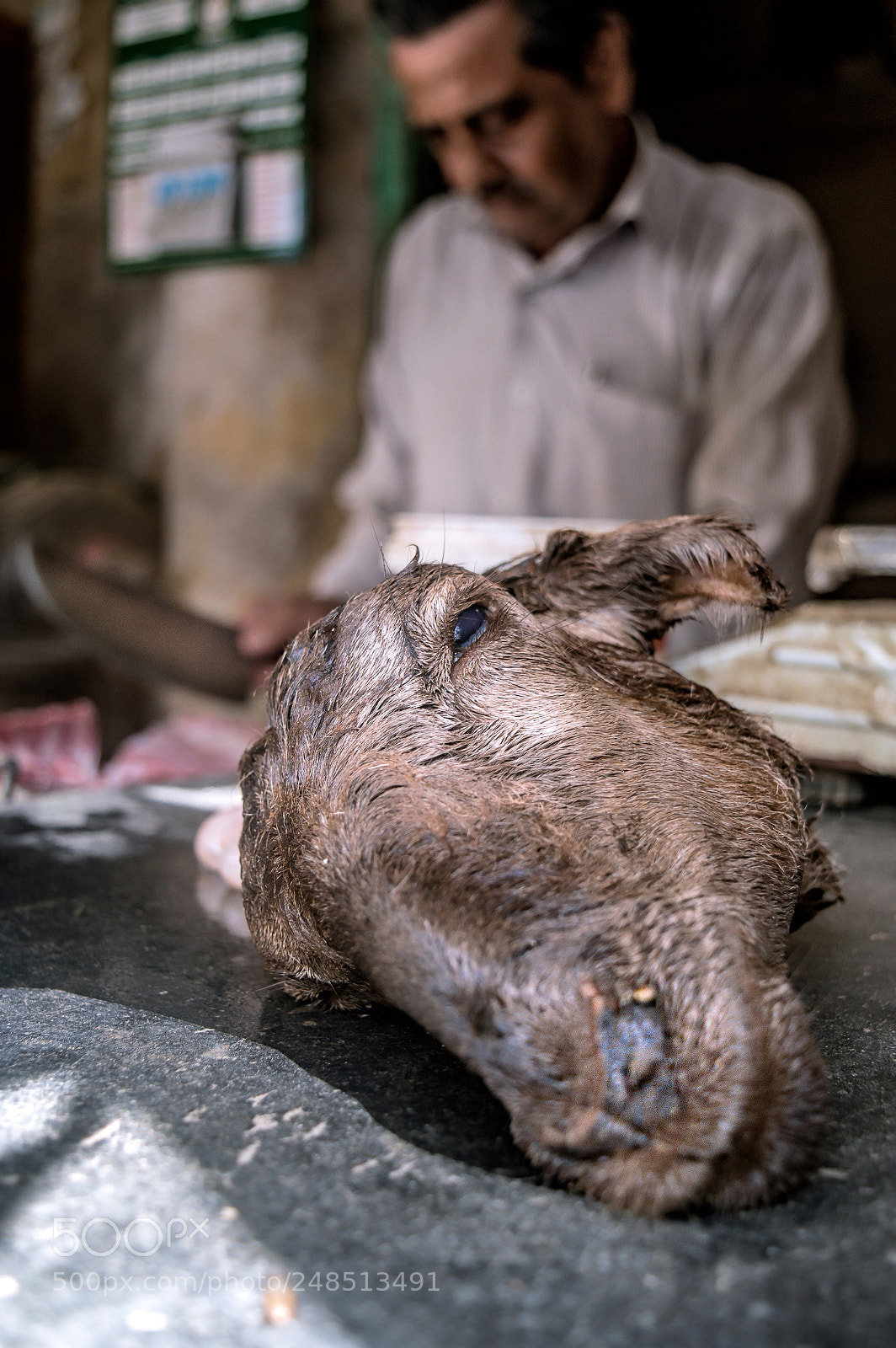 Nikon D3200 sample photo. The curse of goat photography