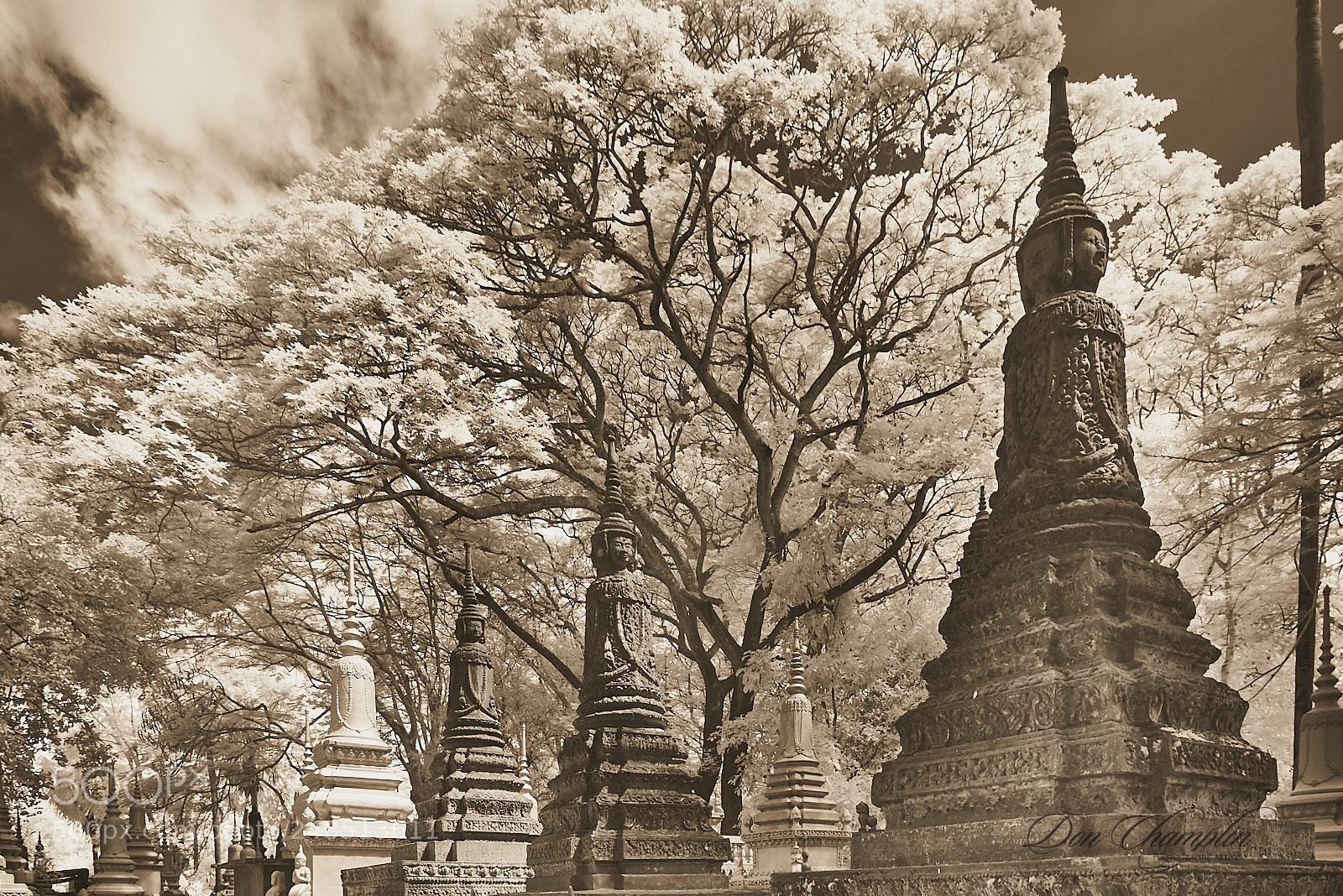 Sony a7R sample photo. Angkor cemetery photography