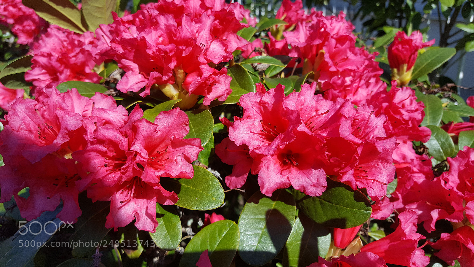 Samsung GALAXY S6 edge sample photo. 20170328_131715.jpg photography