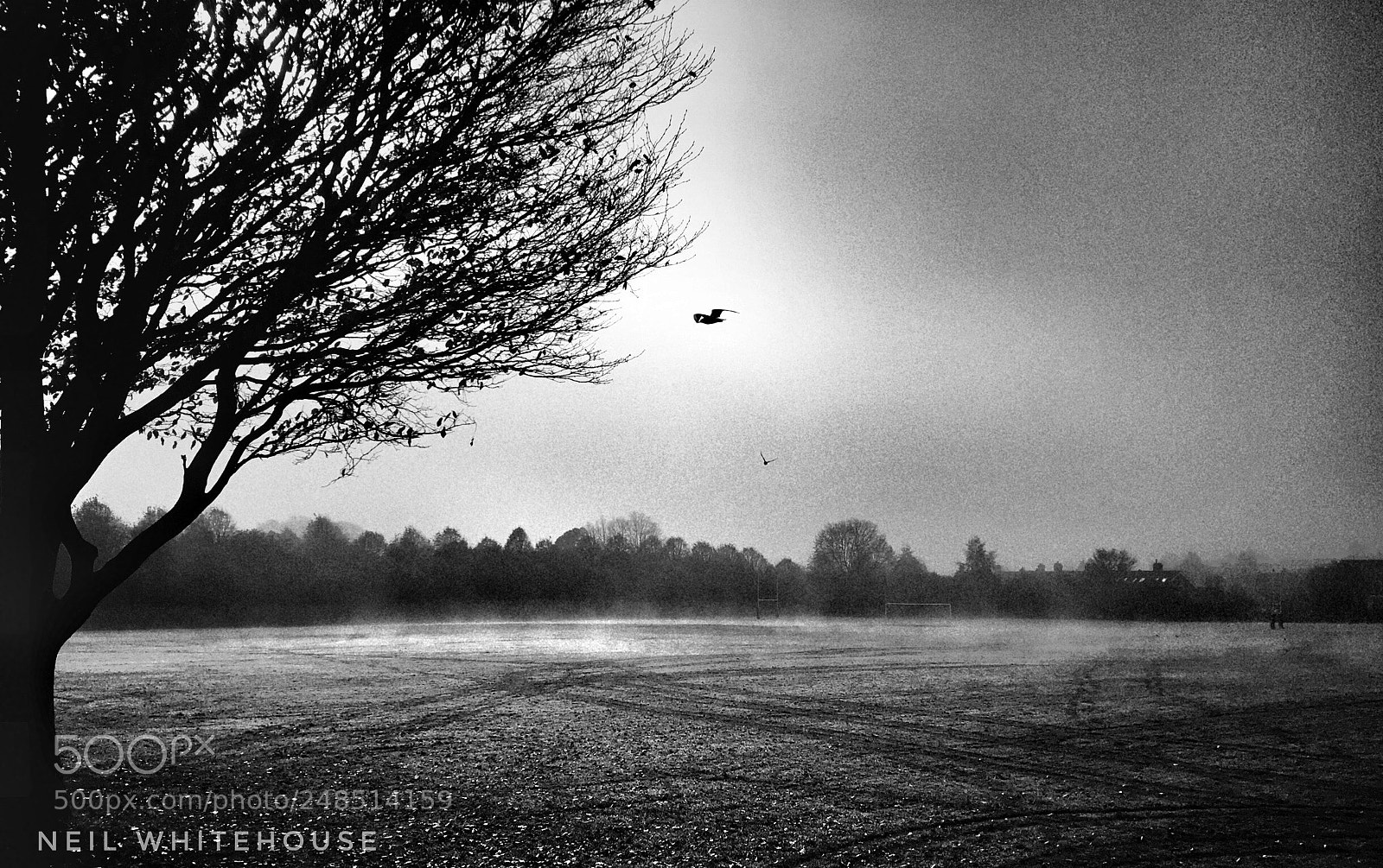 Apple iPhone 7 Plus sample photo. Wells, somerset photography