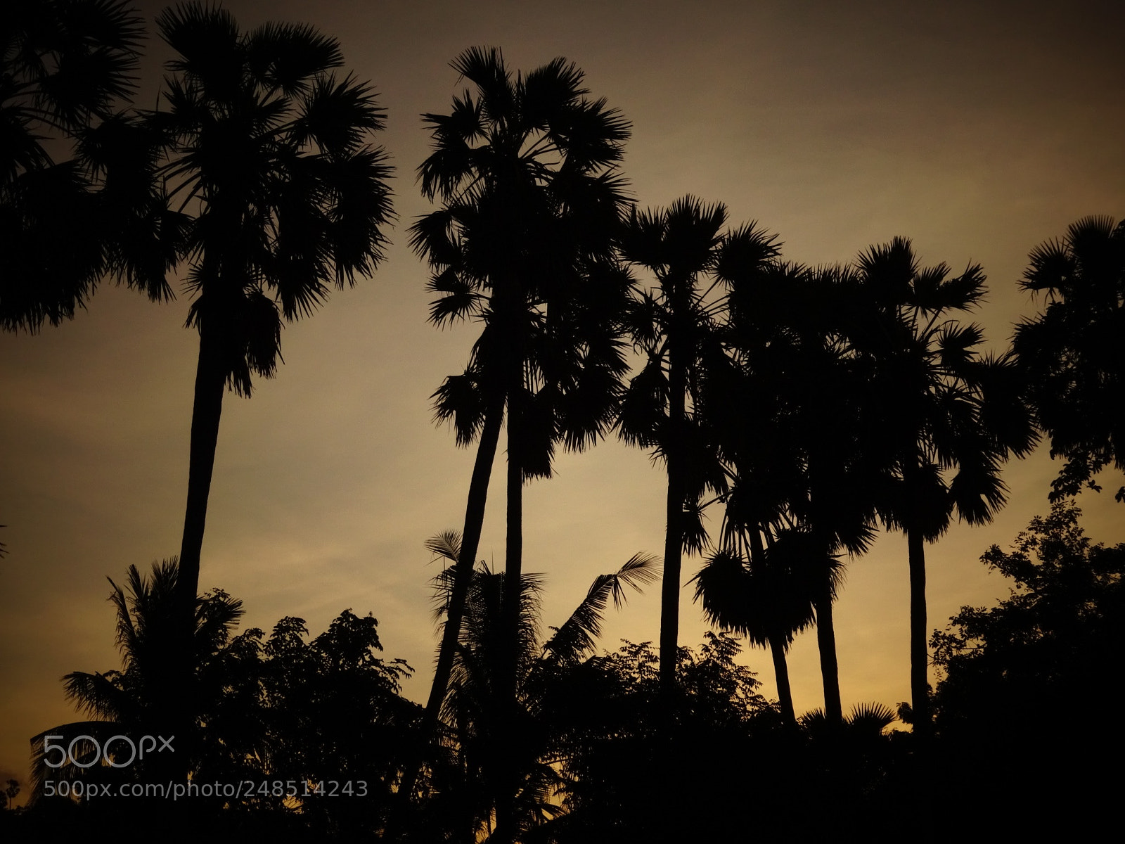 Sony Cyber-shot DSC-WX350 sample photo. Sunset photography