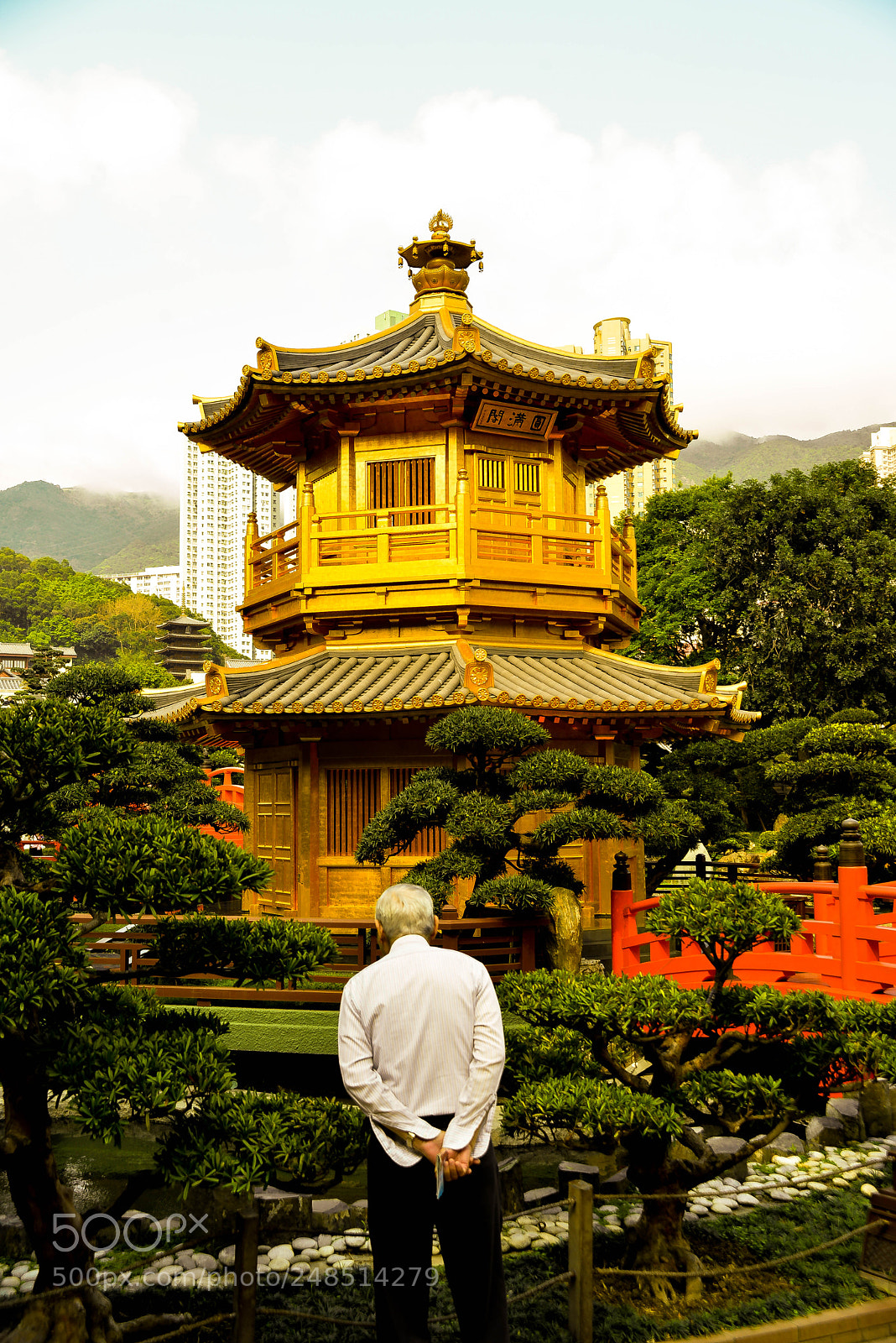 Nikon D610 sample photo. Beauty of hong kong #6 photography