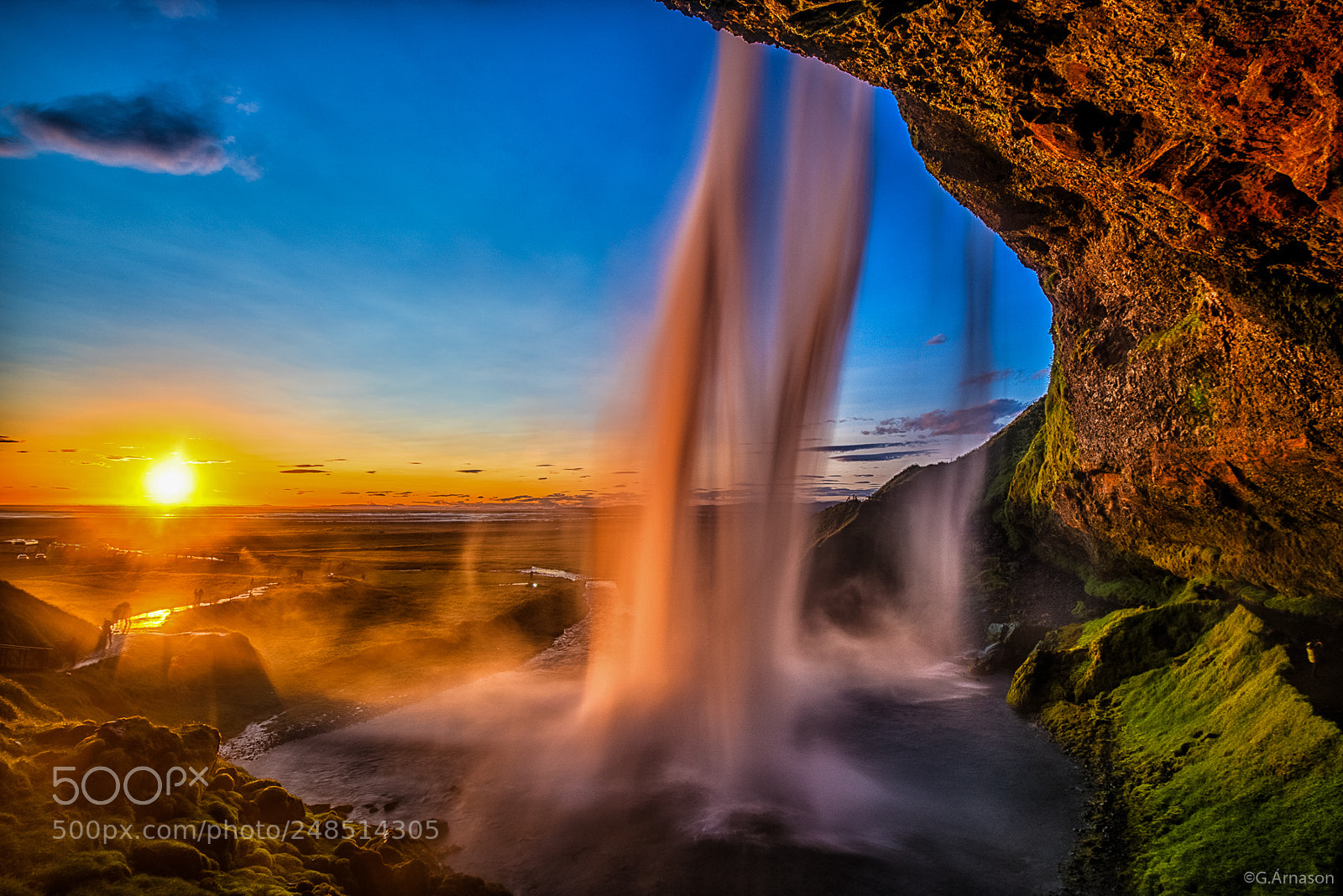 Nikon D810 sample photo. Veil of nature photography