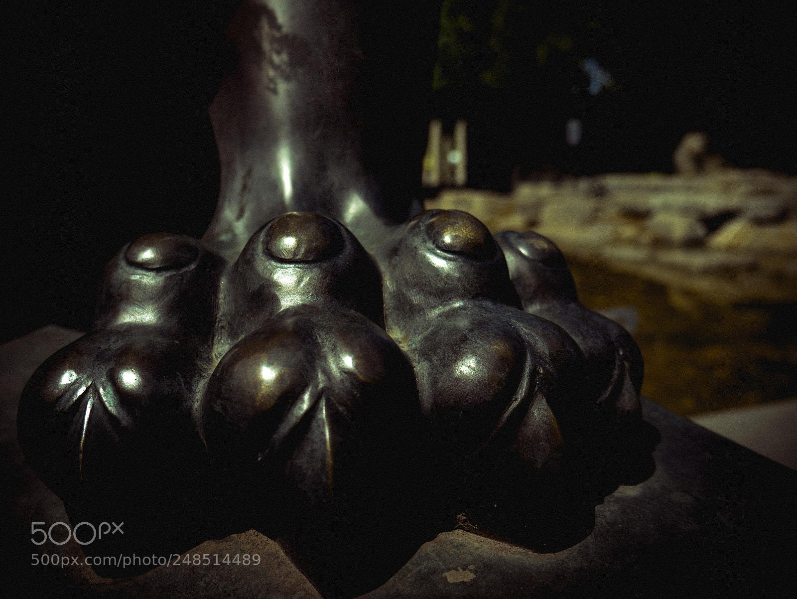 Panasonic Lumix DMC-G7 sample photo. The lions foot photography