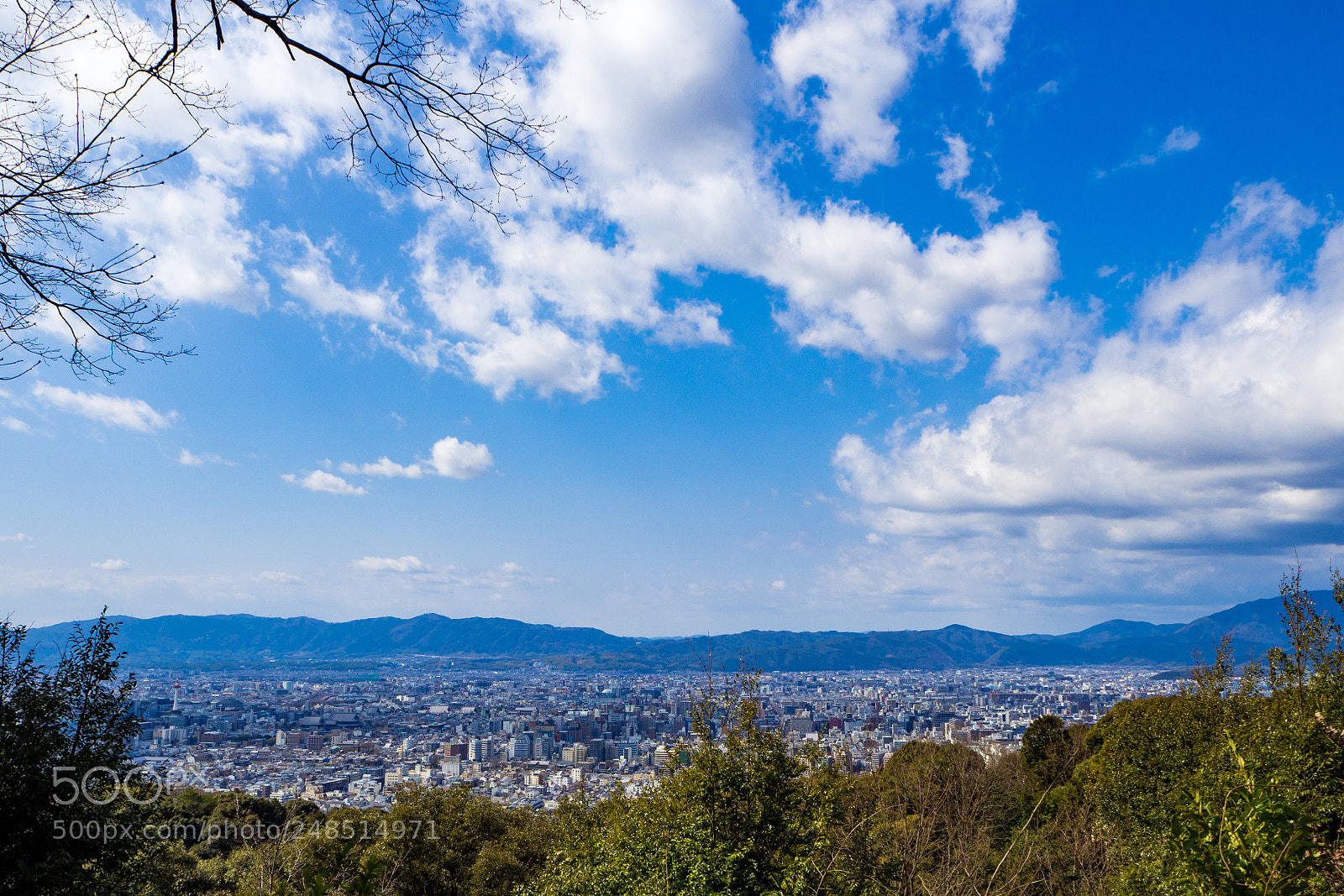 Olympus OM-D E-M10 sample photo. One sunny day photography