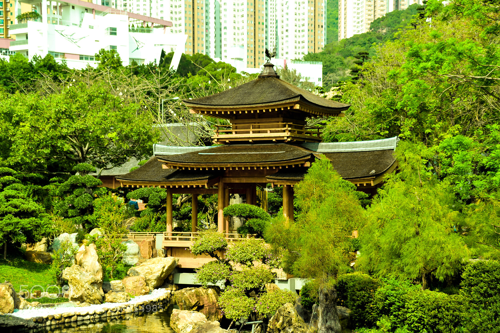 Nikon D610 sample photo. Beauty of hong kong #10 photography