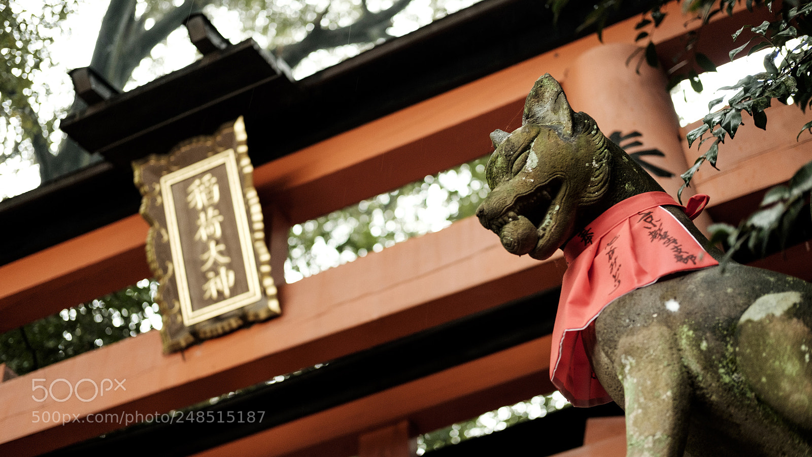 Fujifilm X-T10 sample photo. Fukakusa yabunouchicho photography