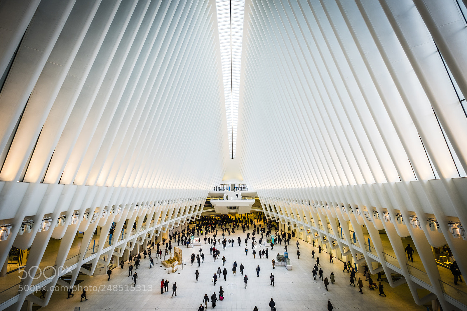 Fujifilm X-T2 sample photo. The oculus, the common photography