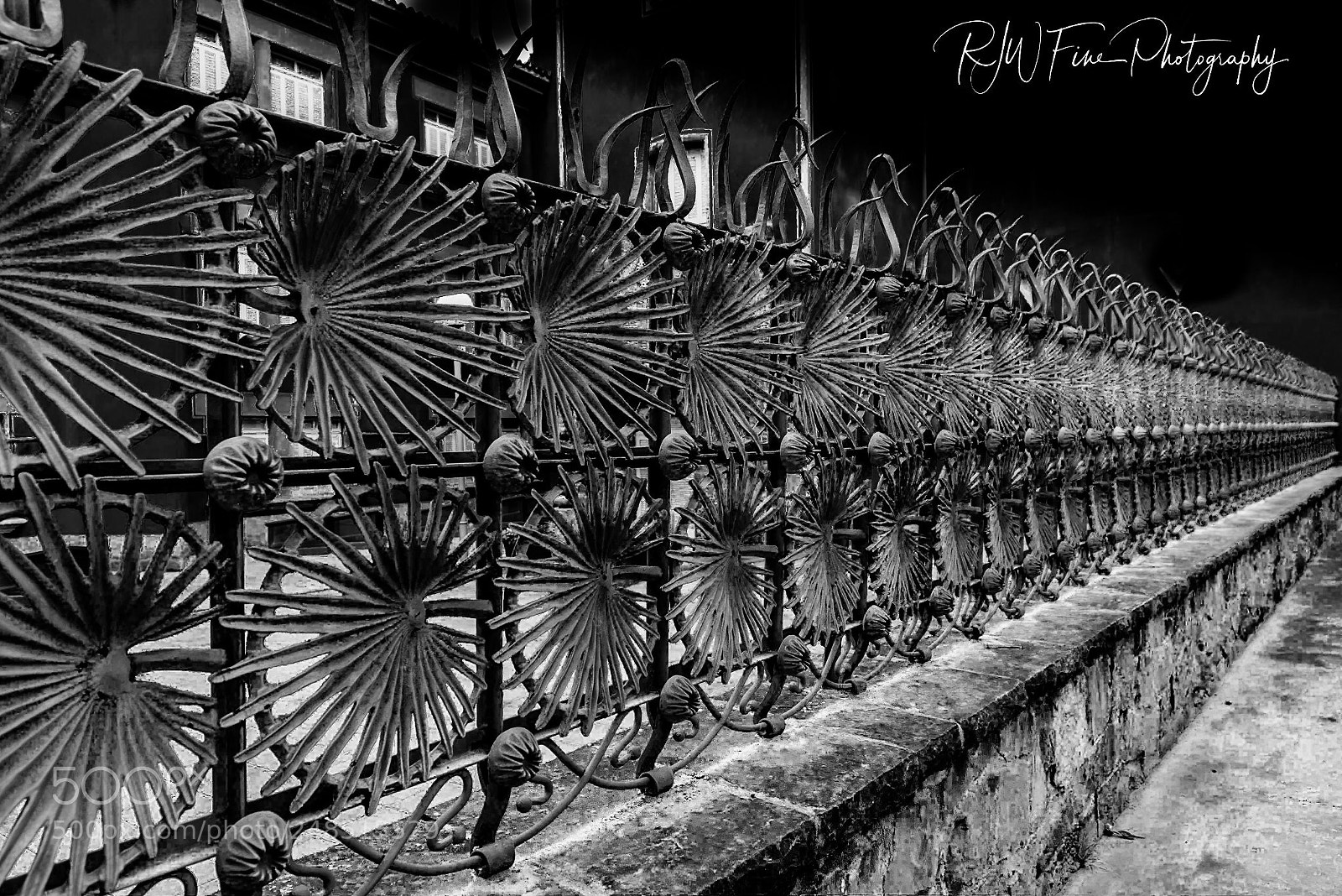 Nikon D810 sample photo. Lost in darkness photography