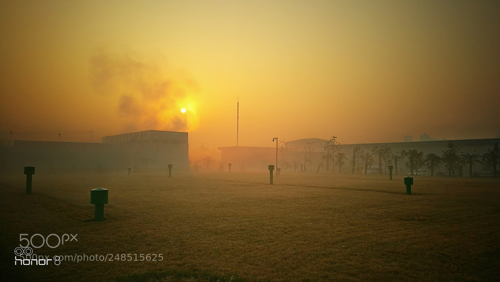 HUAWEI Honor 8 sample photo. 雾 photography