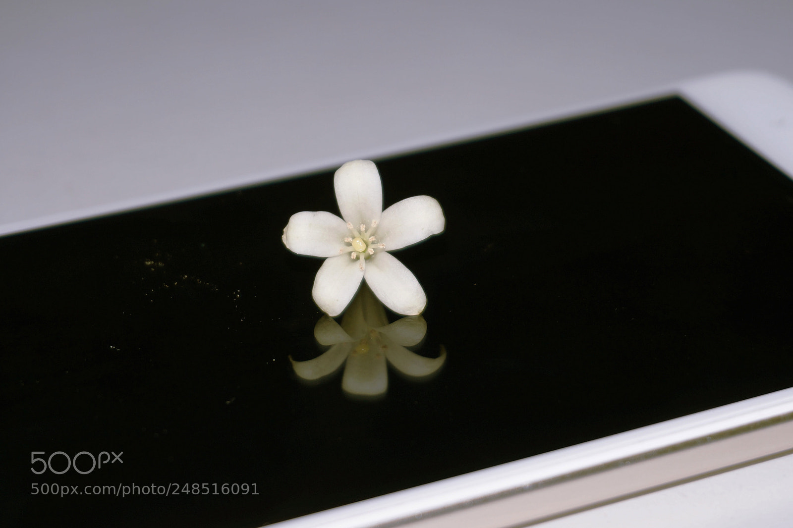 Sony Alpha NEX-5N sample photo. Minimalism photography