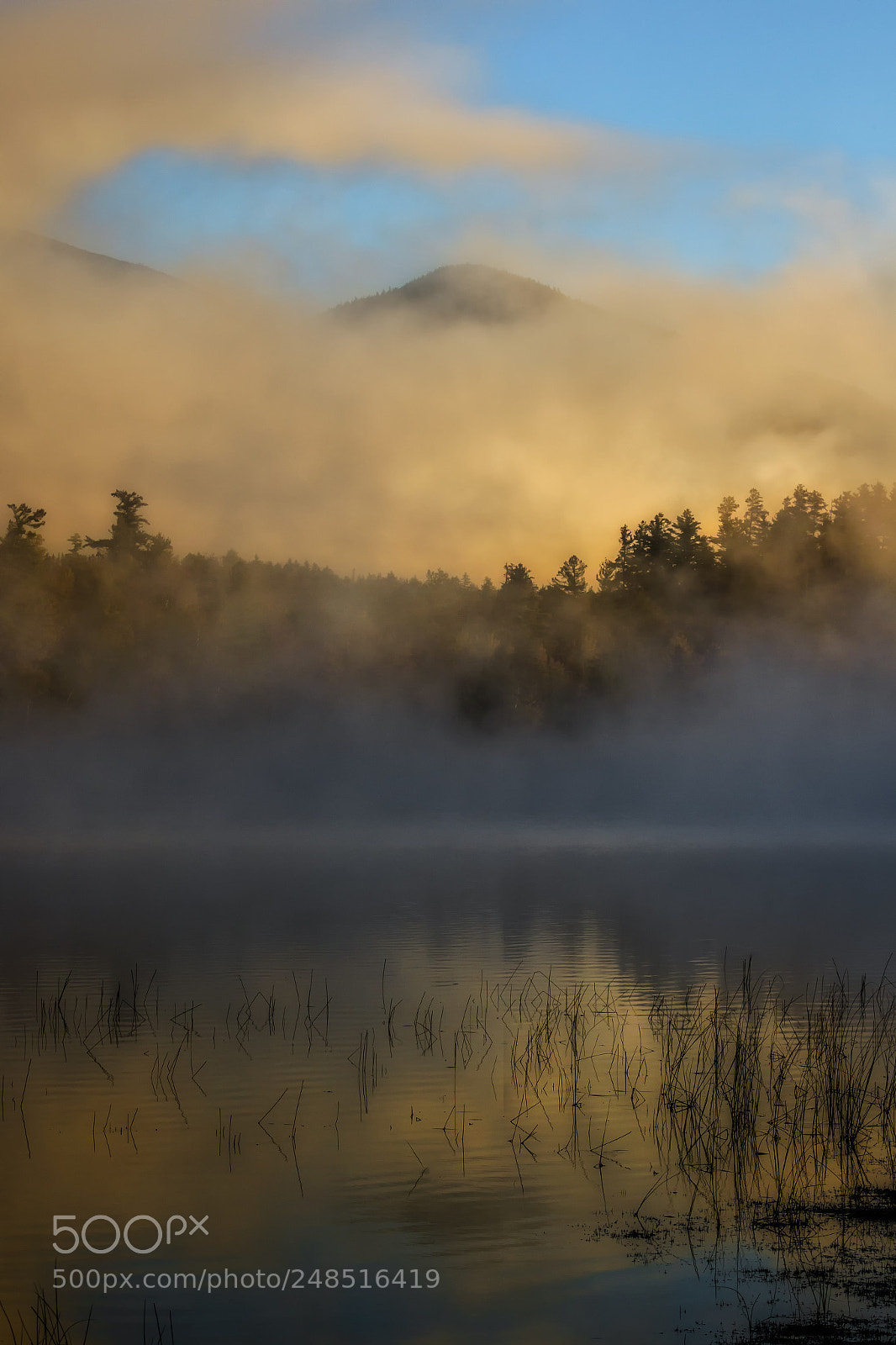 Canon EOS 7D Mark II sample photo. Reflecting pond photography
