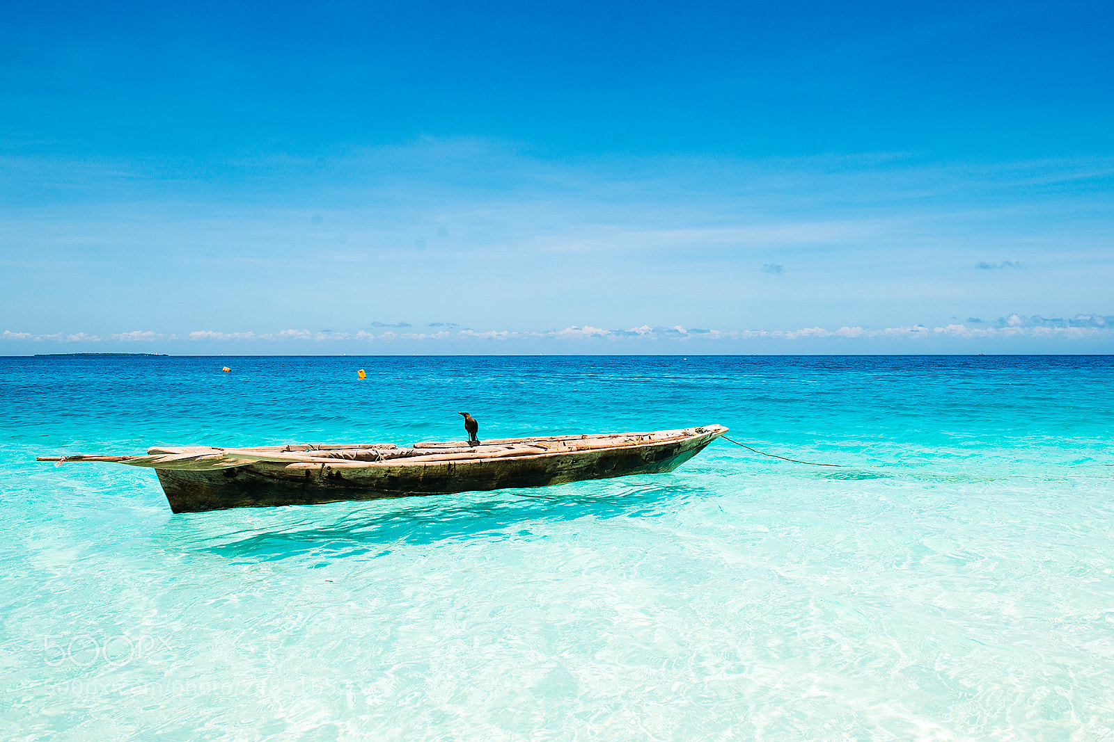 Nikon D800 sample photo. Bird, boat and sea photography