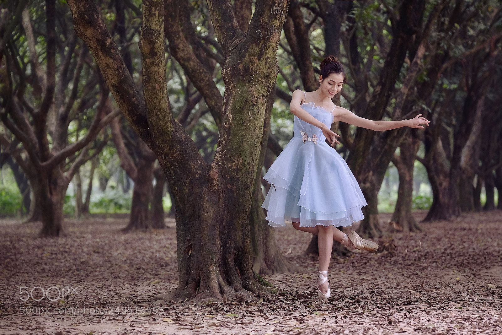 Fujifilm X-T20 sample photo. Untitled photography
