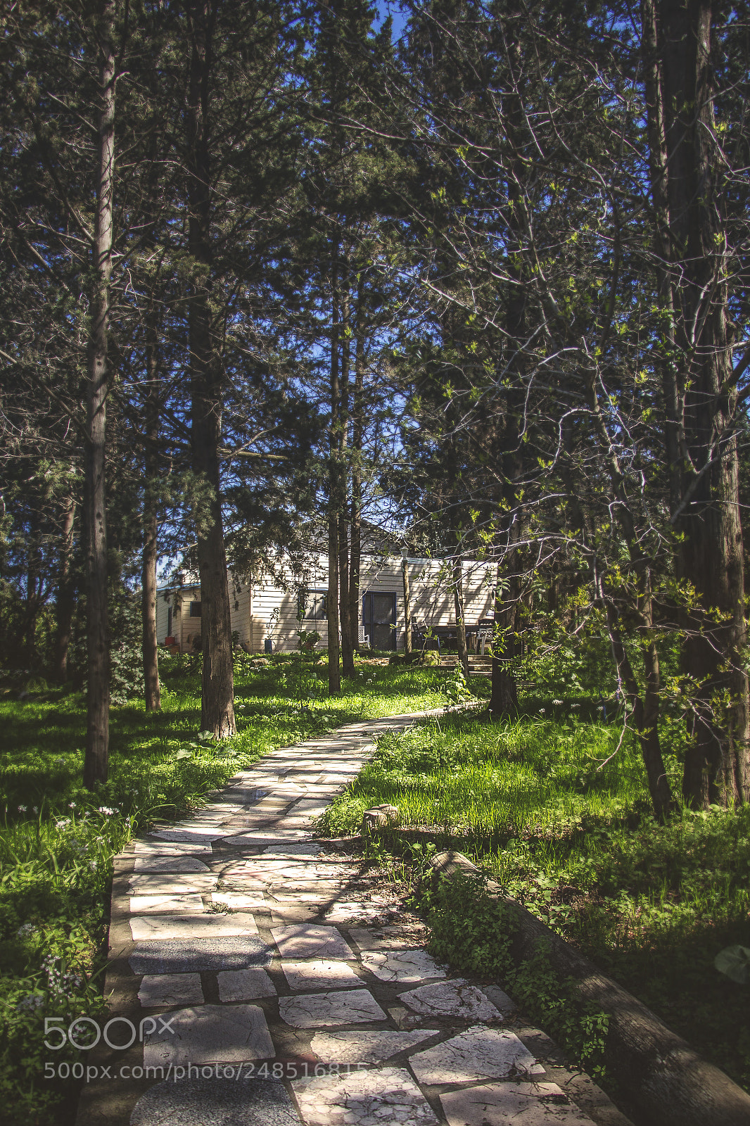 Canon EOS 700D (EOS Rebel T5i / EOS Kiss X7i) sample photo. Hous in the woods photography