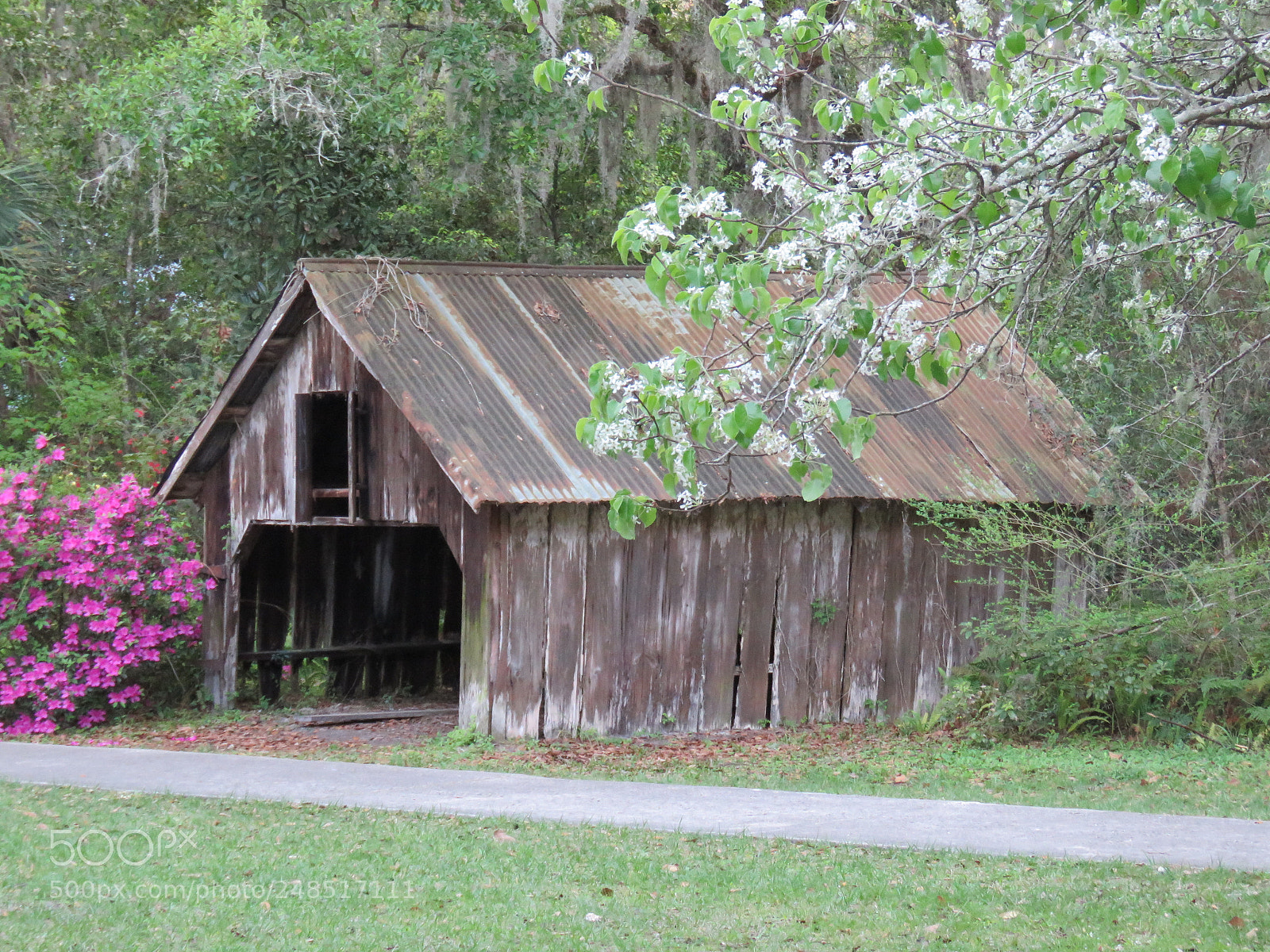 Canon PowerShot SX60 HS sample photo. Img photography
