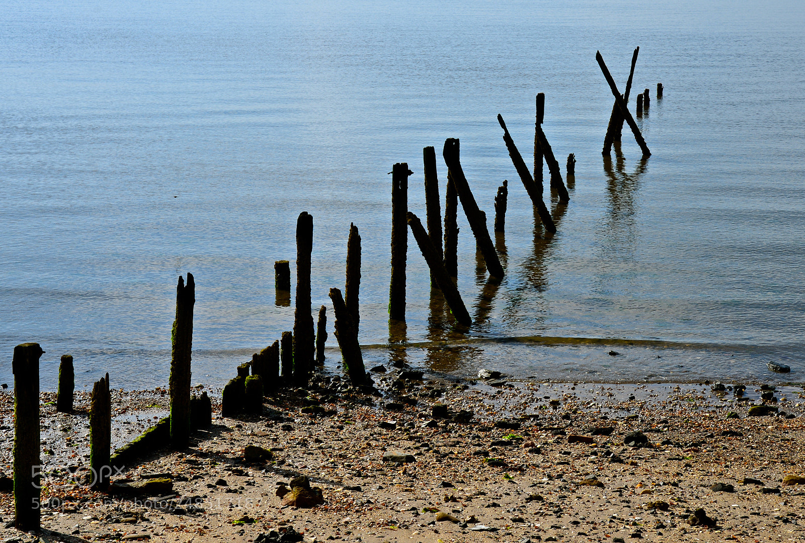 Nikon D600 sample photo. Old pilings photography