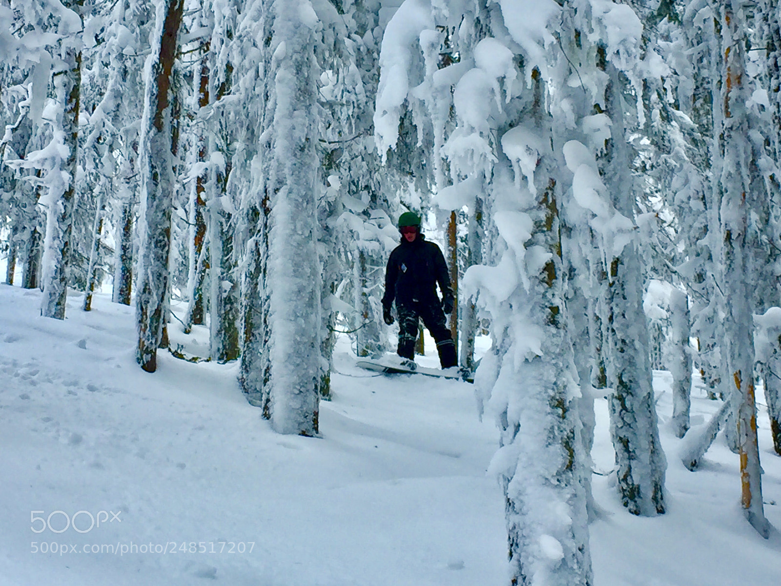 Apple iPhone 6 sample photo. Riding the fresh powder photography