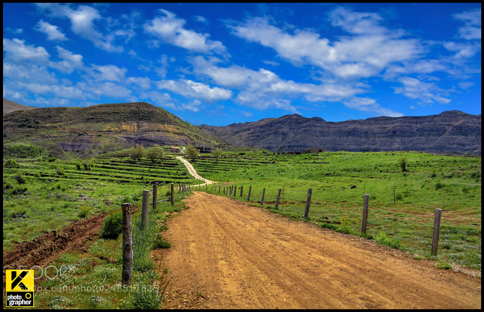 Nikon D5200 sample photo. The road photography