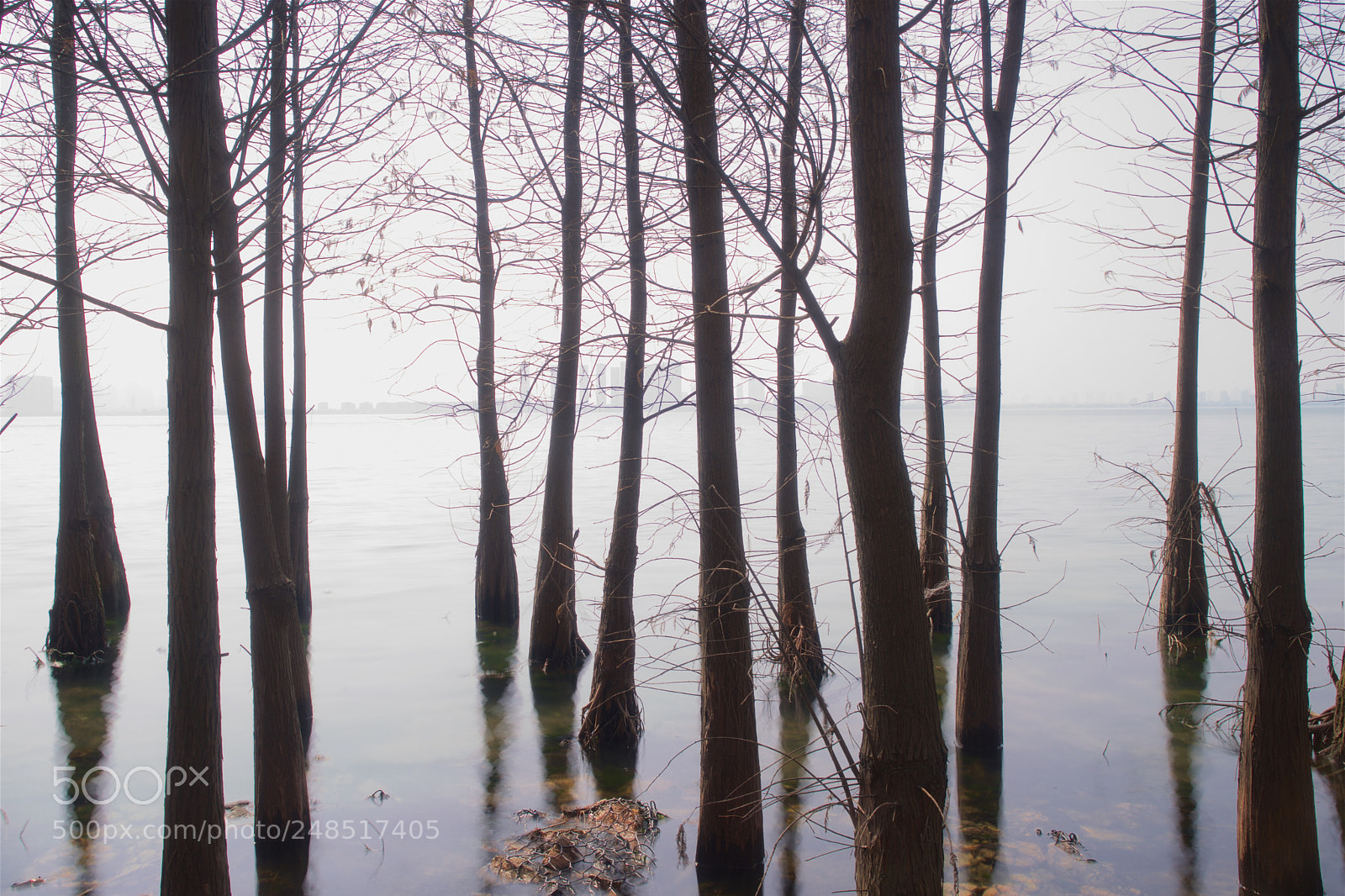 Sony a7 sample photo. Haze at afternoon photography