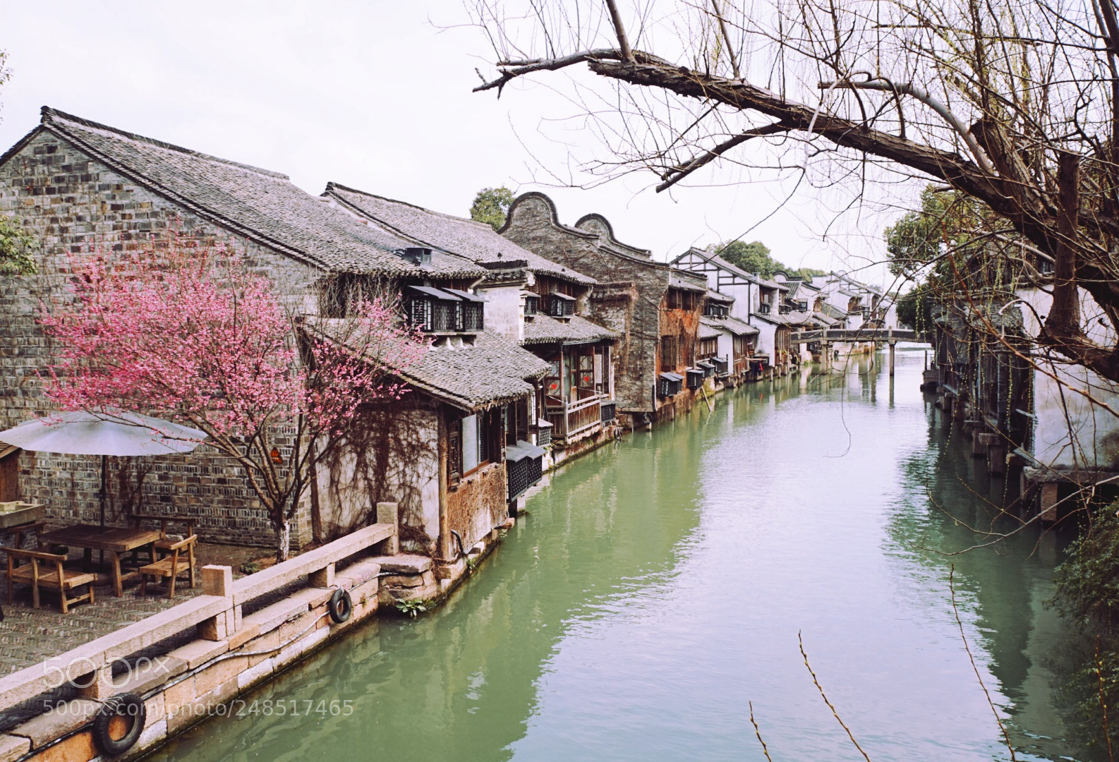 Sony Alpha a5000 (ILCE 5000) sample photo. Spring time in wuzhen photography