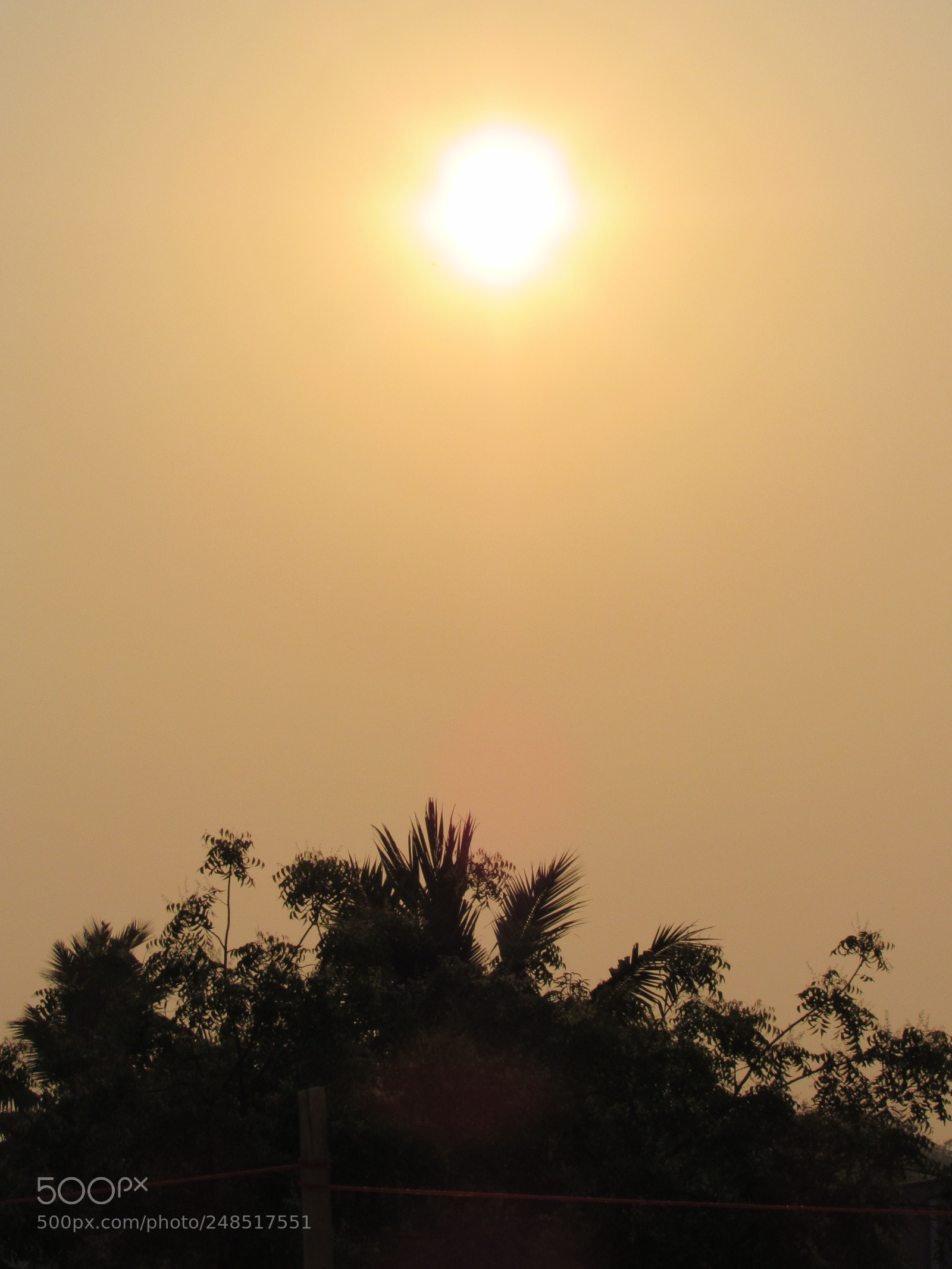 Canon PowerShot SX530 HS sample photo. Aa creative works photography