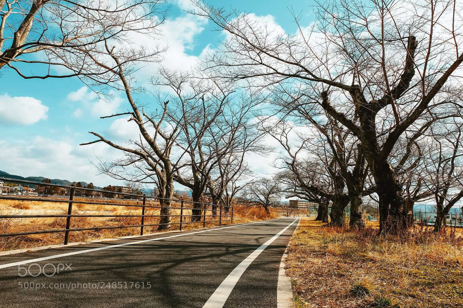 Fujifilm X-T2 sample photo. Untitled photography