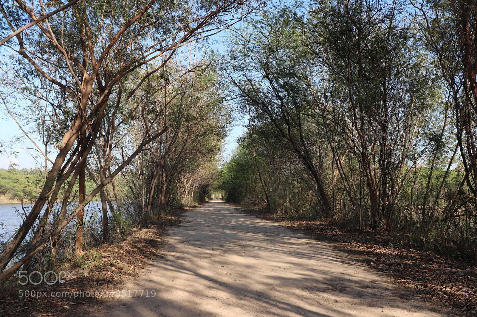 Canon EOS 200D (EOS Rebel SL2 / EOS Kiss X9) sample photo. Jungle trail again photography