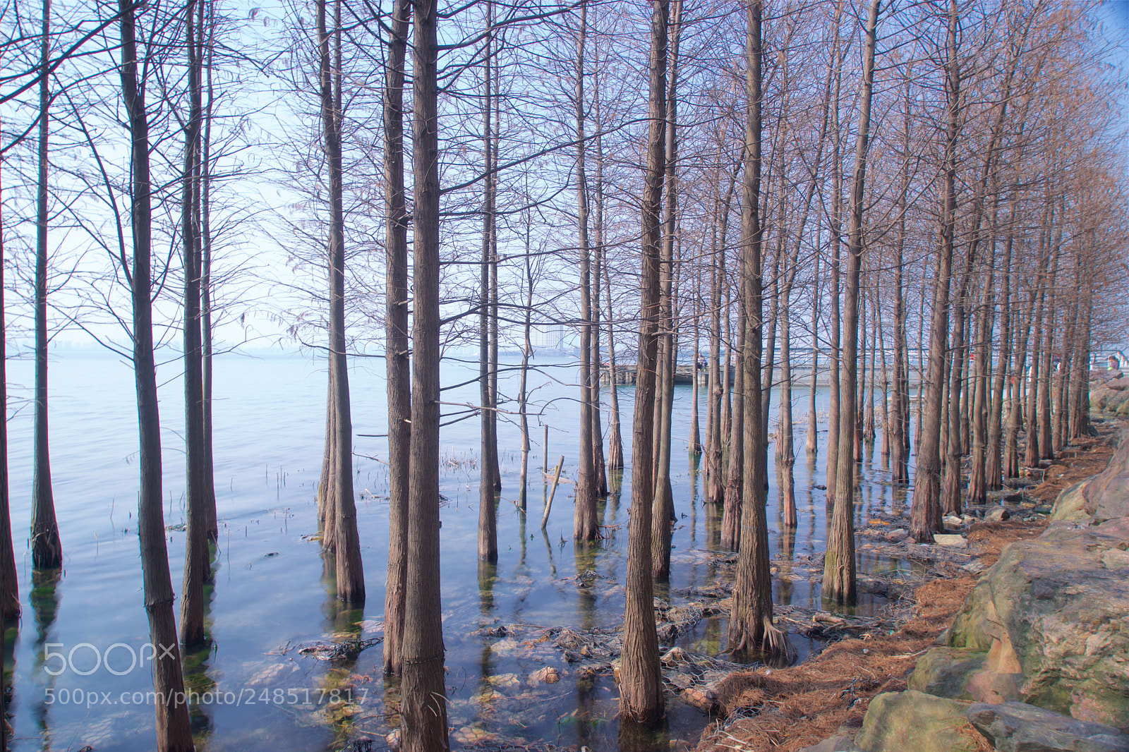 Sony a7 sample photo. Suzhou sip dushu lake photography