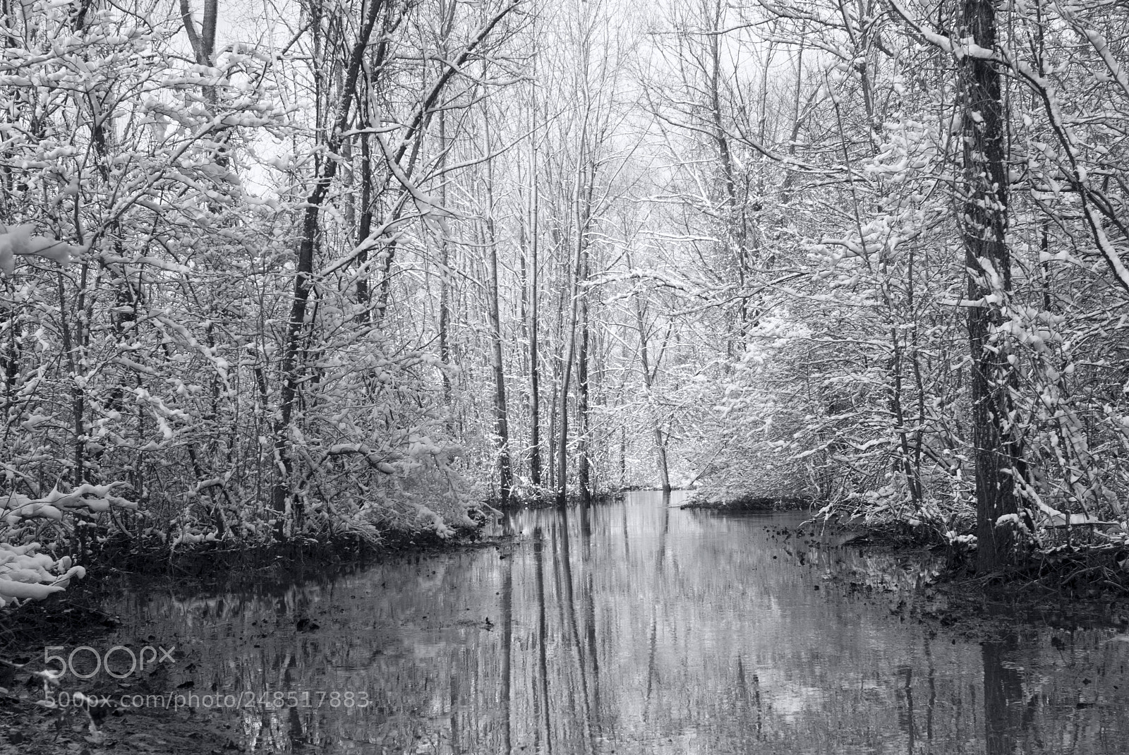 Nikon D80 sample photo. Man vs. nature: flood photography