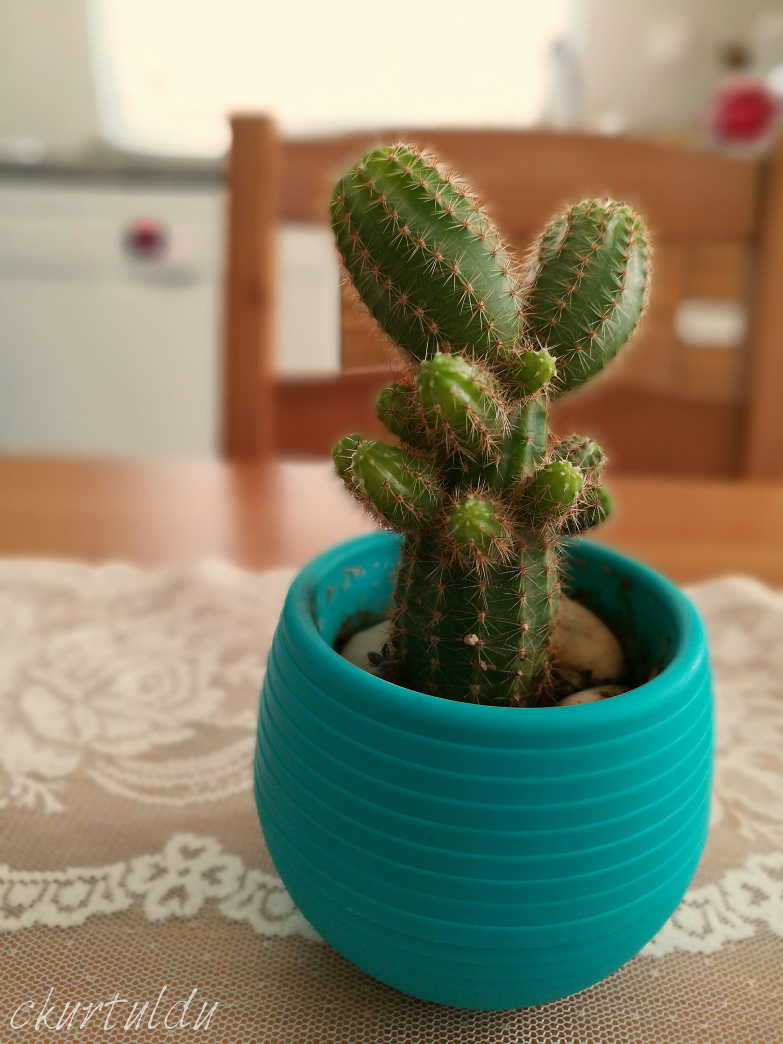 HUAWEI GR5 2017 sample photo. My baby photography