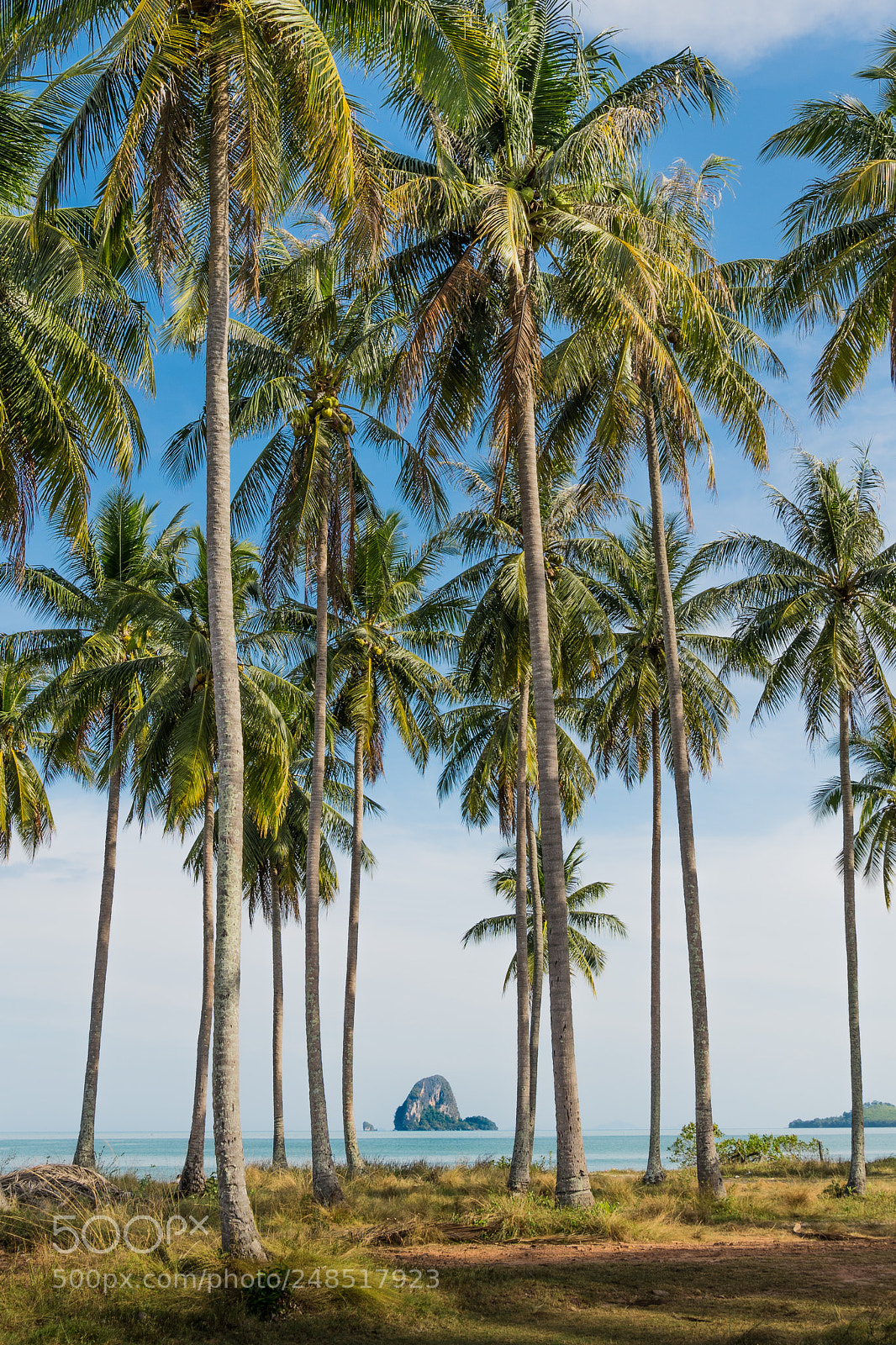 Sony a7R III sample photo. Koh yao yai photography