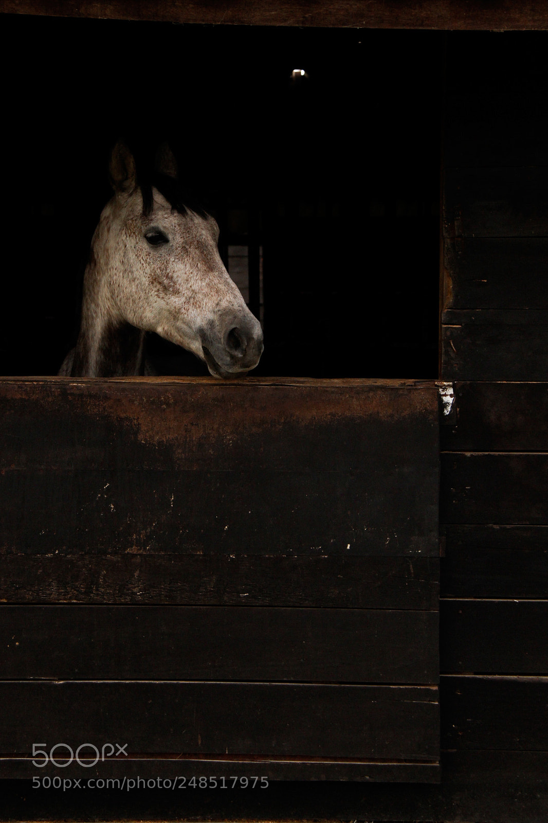 Canon EOS 7D sample photo. Untitled photography