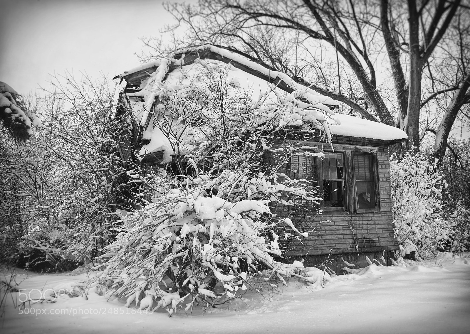 Nikon D40 sample photo. Broken in winter photography