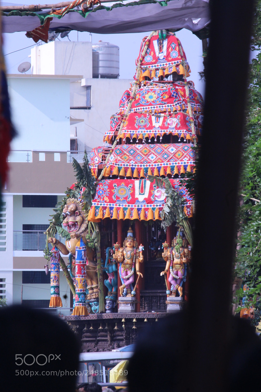 Canon EF-S 55-250mm F4-5.6 IS II sample photo. Parthasarathy ther photography