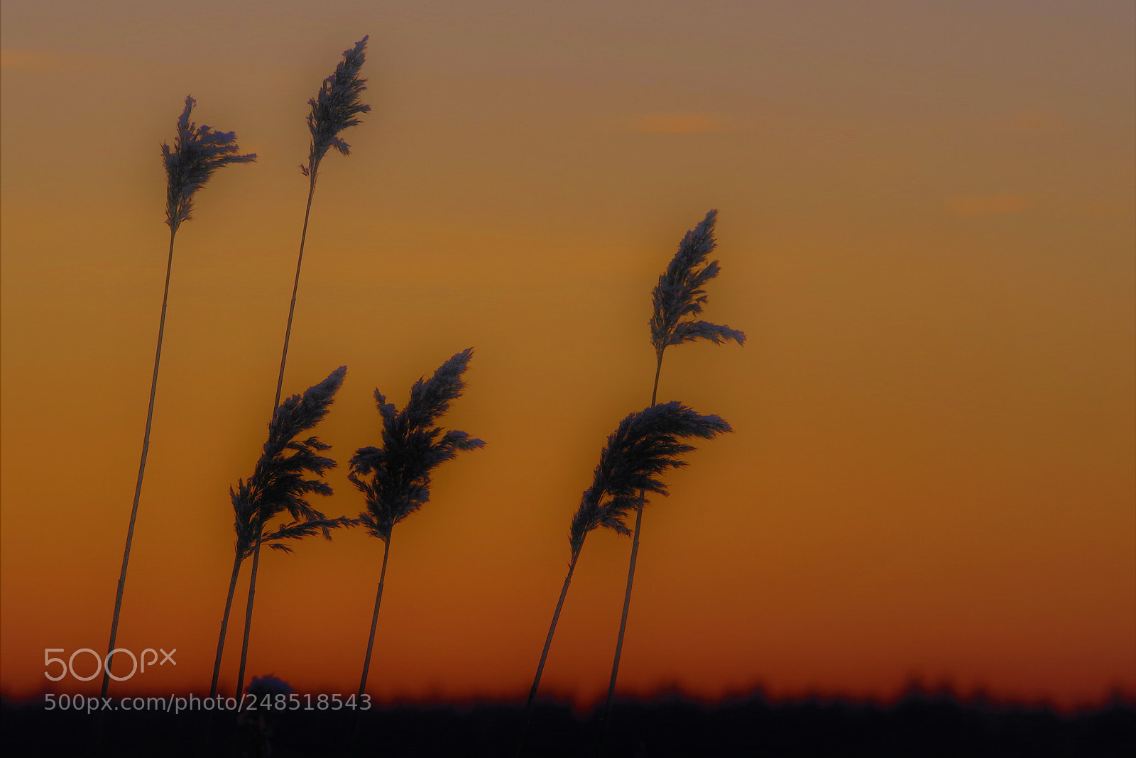 Pentax K-1 sample photo. Warm and cold photography