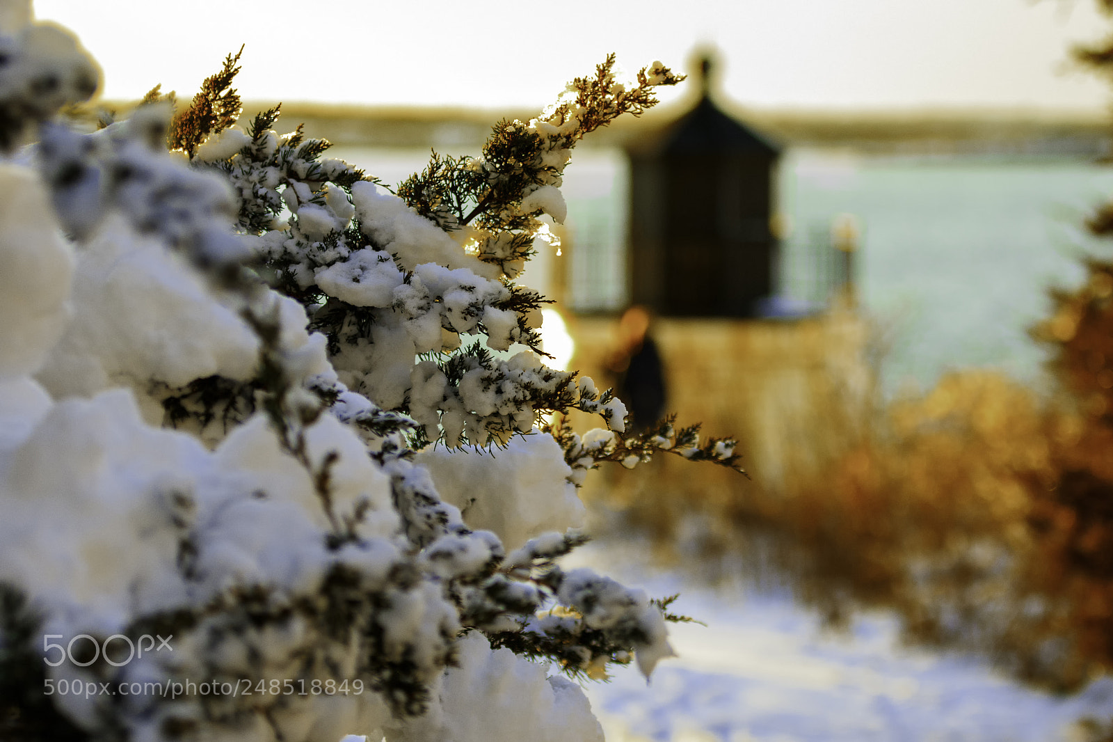 Canon EOS 7D Mark II sample photo. New england lighthouse in photography