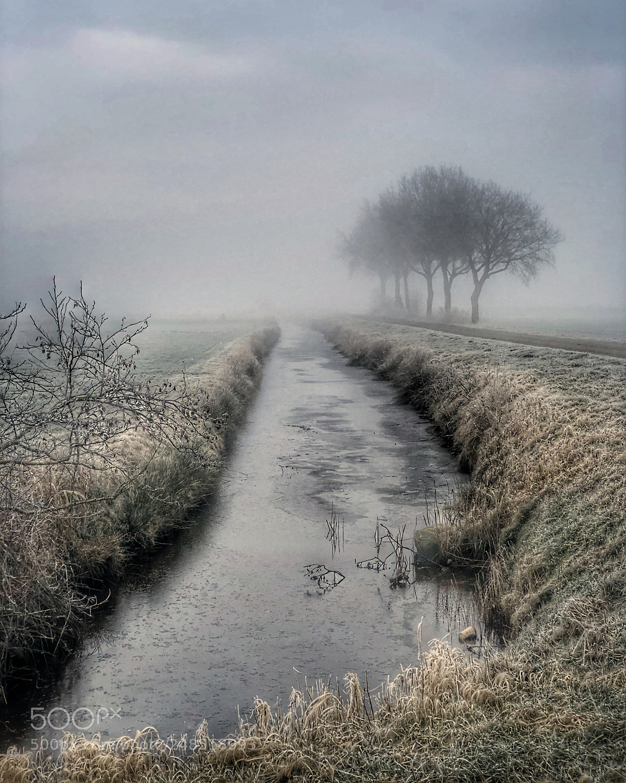 Apple iPhone X sample photo. Dutch misty morning. photography