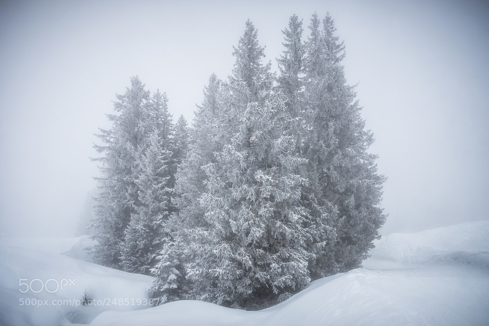 Fujifilm X-T2 sample photo. Still winter photography