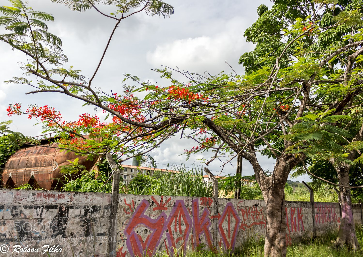 Canon EOS 700D (EOS Rebel T5i / EOS Kiss X7i) sample photo. Street photography photography