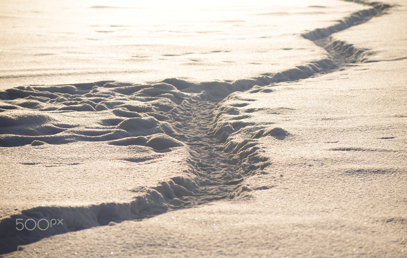 Sigma 70-300mm F4-5.6 APO DG Macro sample photo. Footpath in the snow. photography